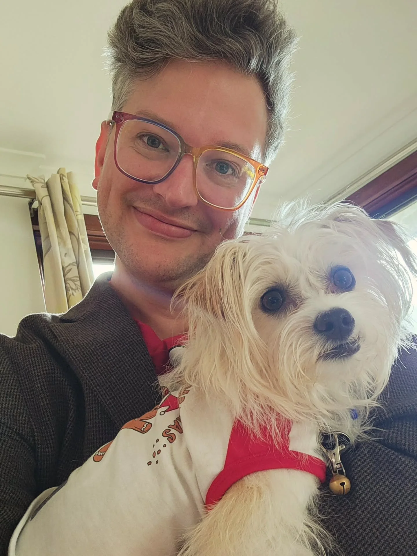 Happy Boxing Day to your depleted social battery.