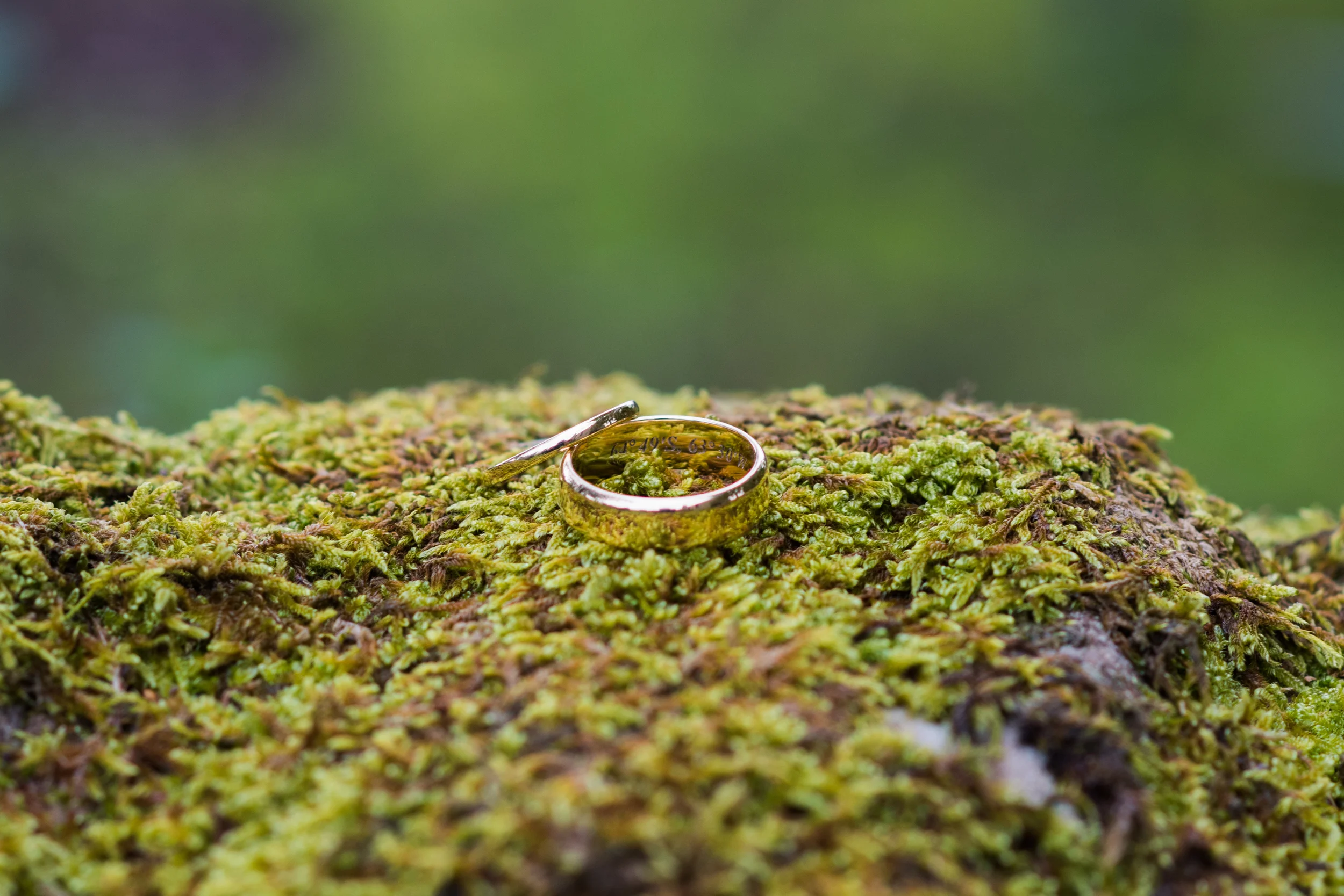 Image by One Big Picture Photography