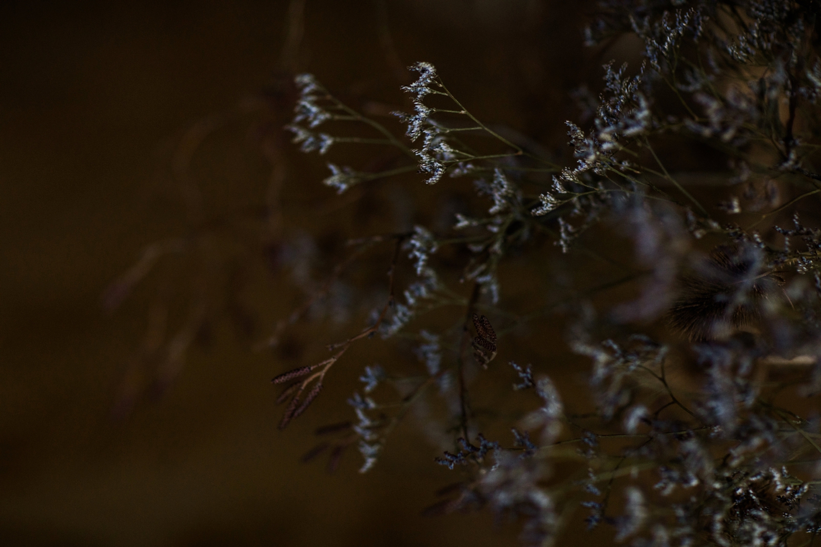 ATELIER_COLLECTION_CIVIC_HOUSE_ZOE_ALEXANDRA_PHOTOGRAPHY-0003.jpg