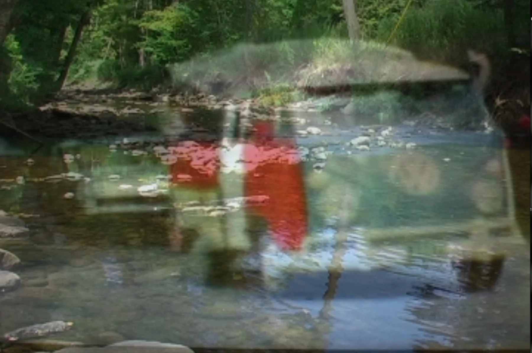 Hippie Home Movie