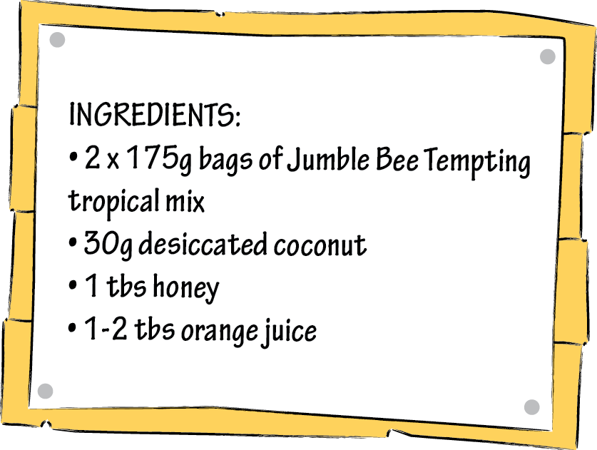fruit and nut balls-06.png