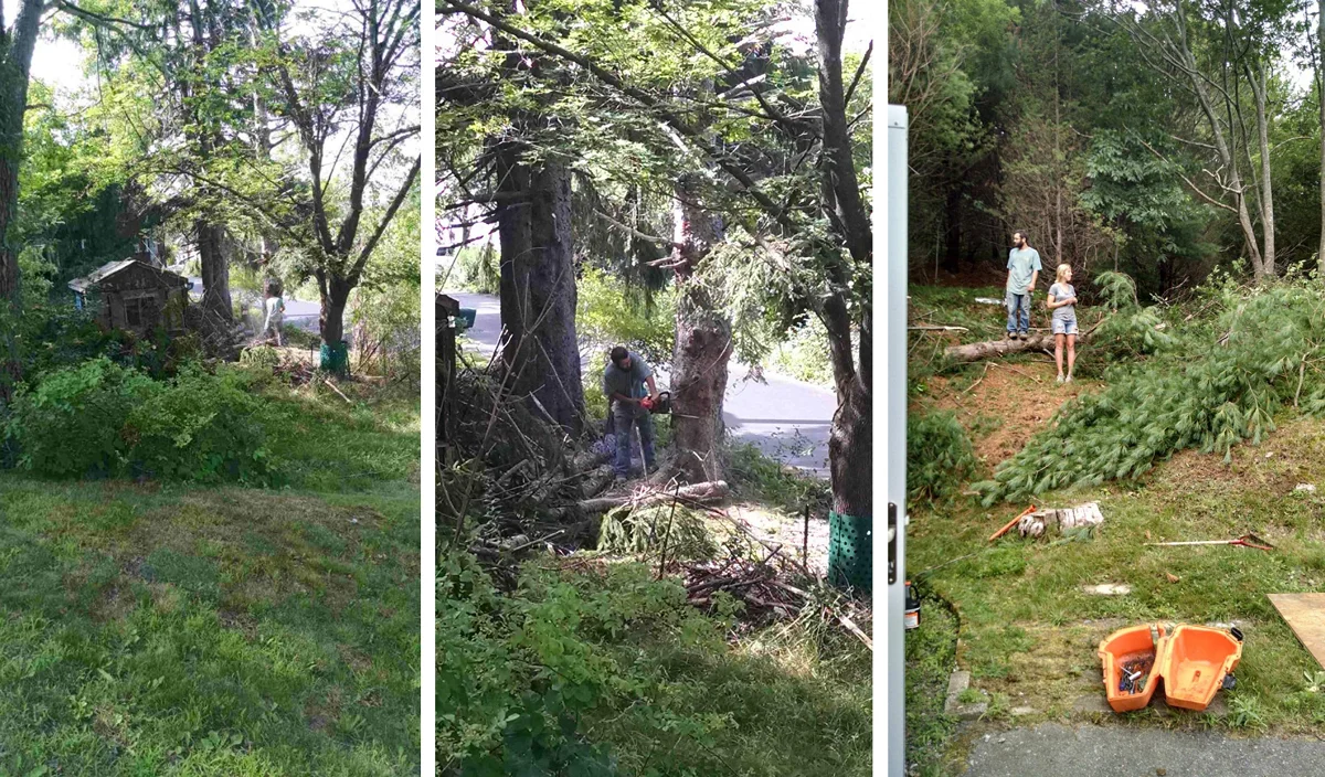 The first two photos (taken on our neighbors yard) are of the back when Johnny was cutting down the first tree, the third of the front (taken at the front door) after some trees had come down.
