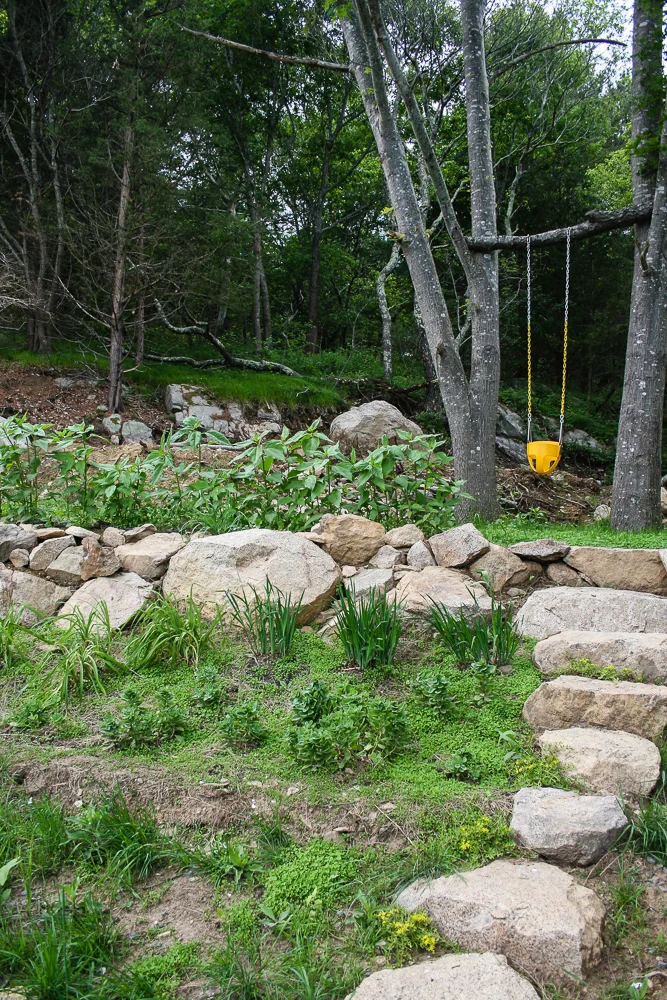 finished product, photo from the early june