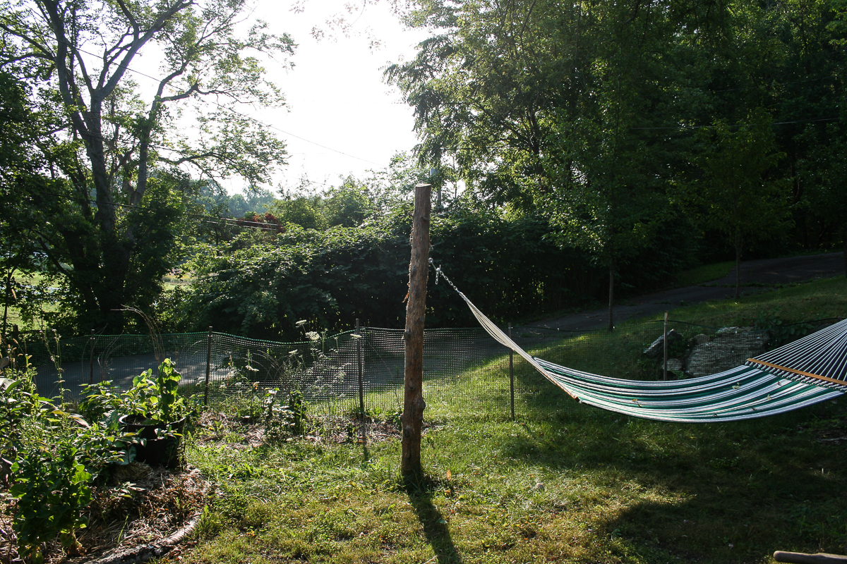 August 2017 Hammock dreams