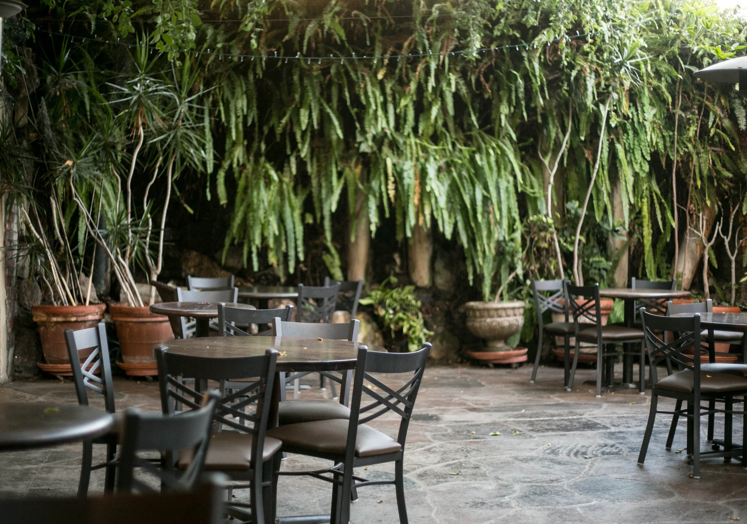 Coffee Connection — Westside Vineyard Church