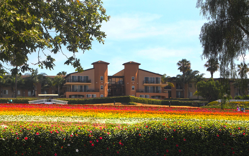 Grand Pacific Palisades Resort, Carlsbad California, View on Property from Flower Fields-L.jpg
