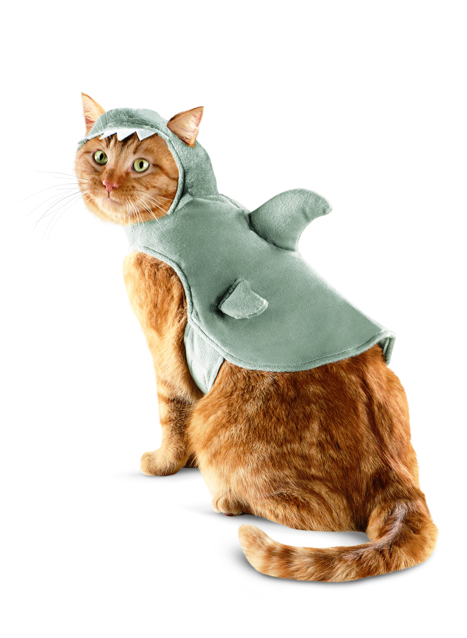 Shark Costume