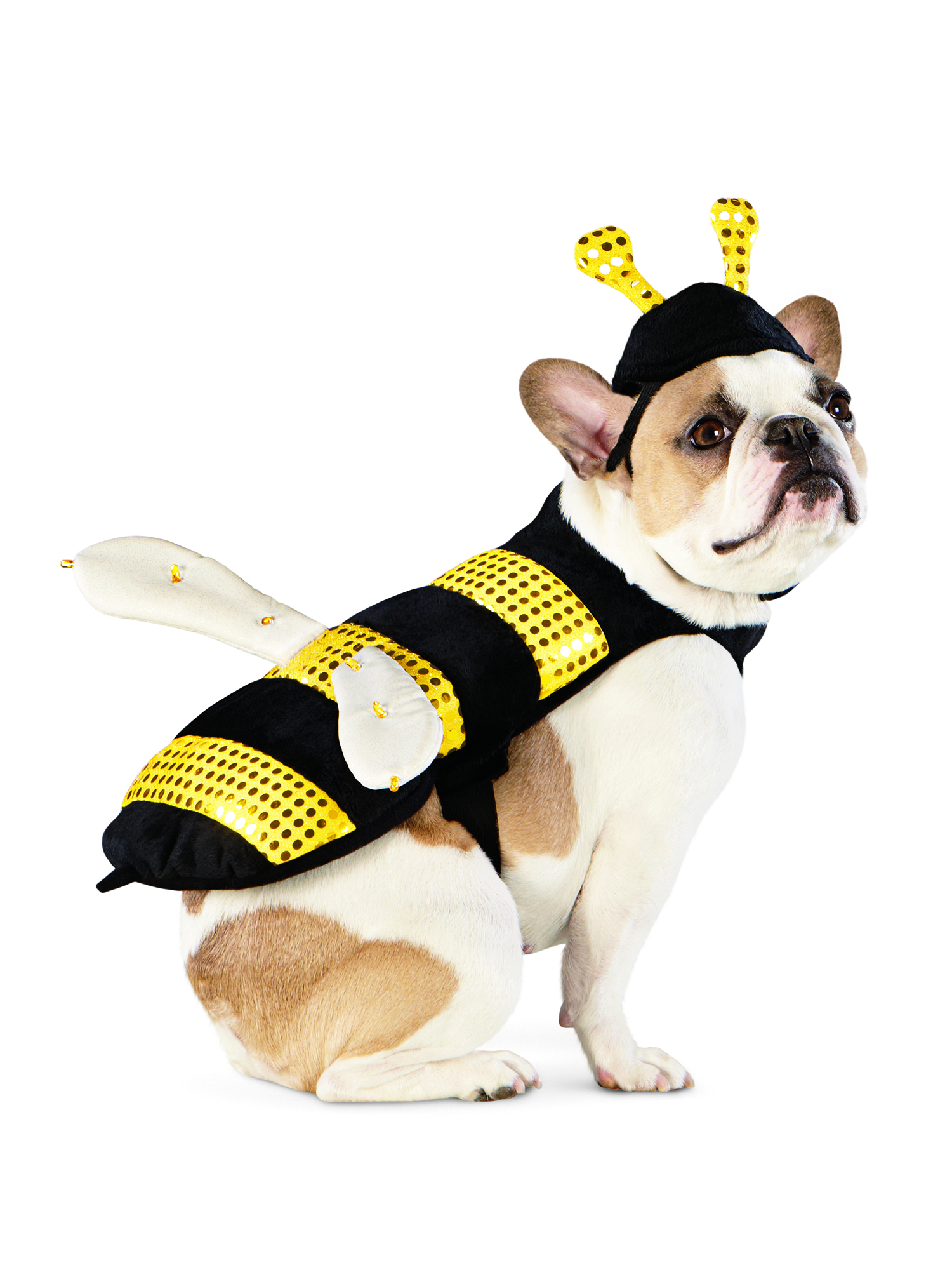 LED Bee Costume