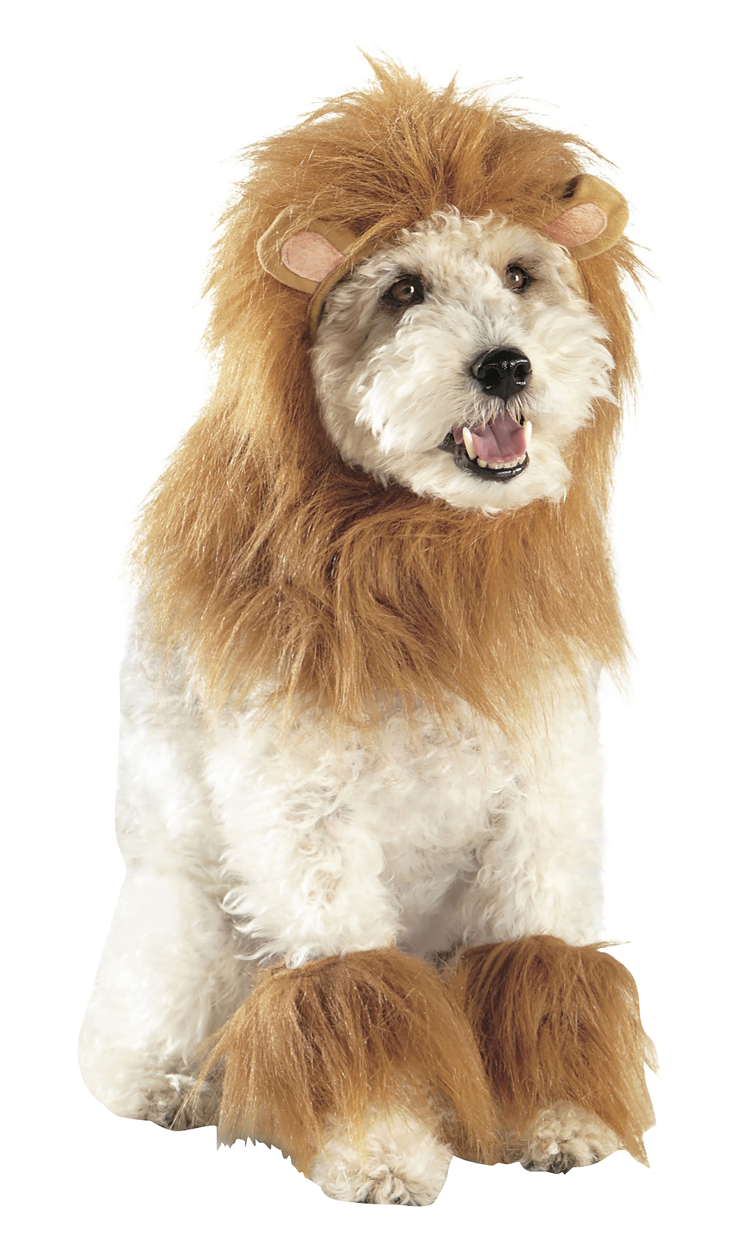 Lion Ruff Costume