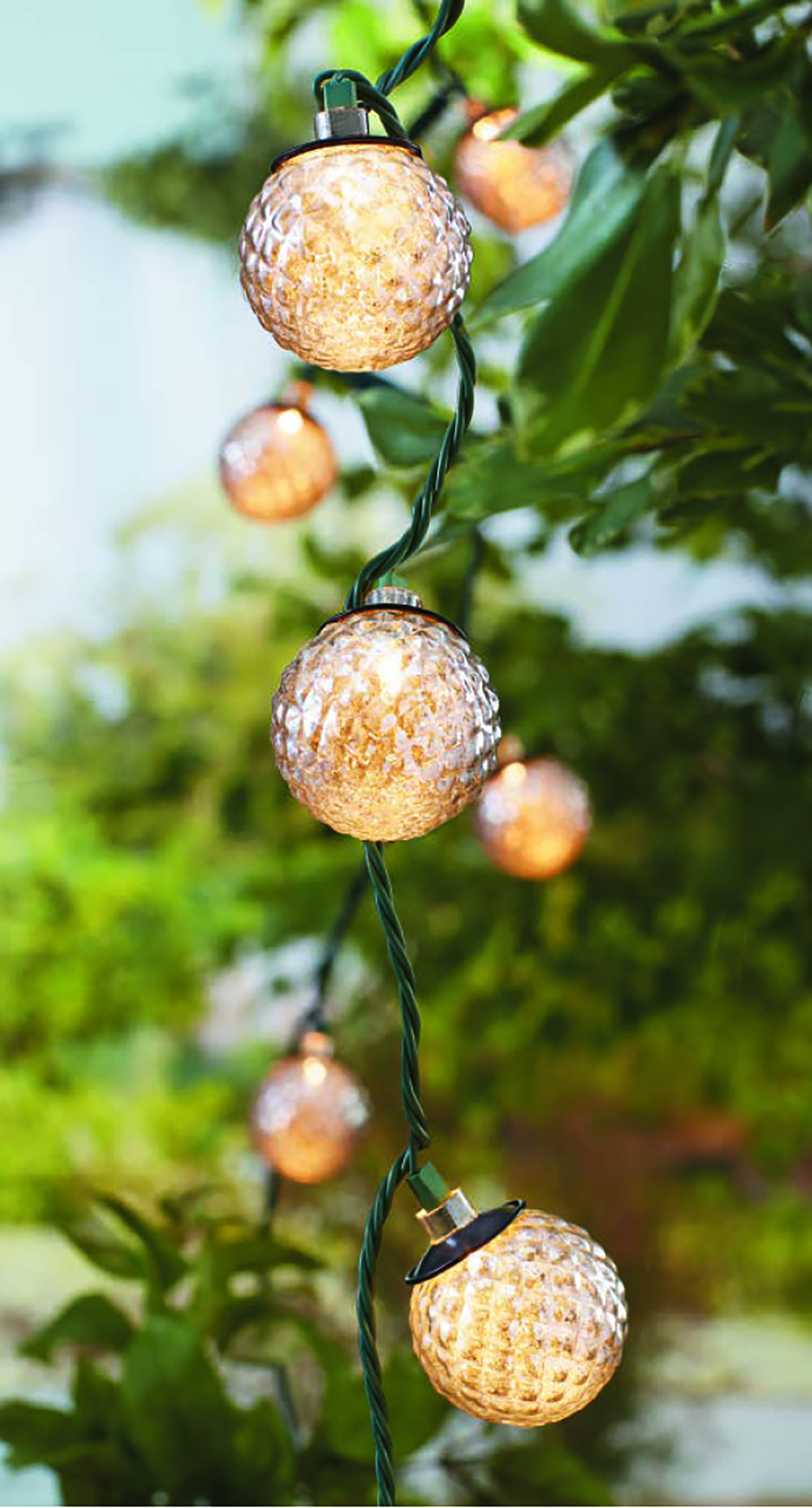 String Lights