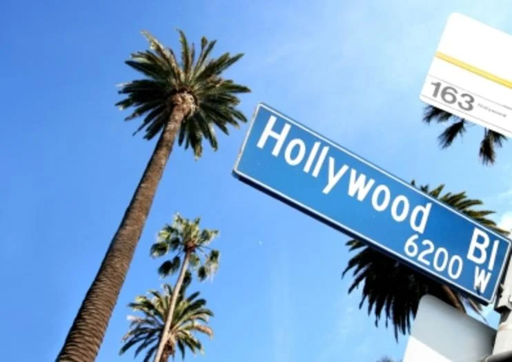 多栖明星喜获杰出人才批准