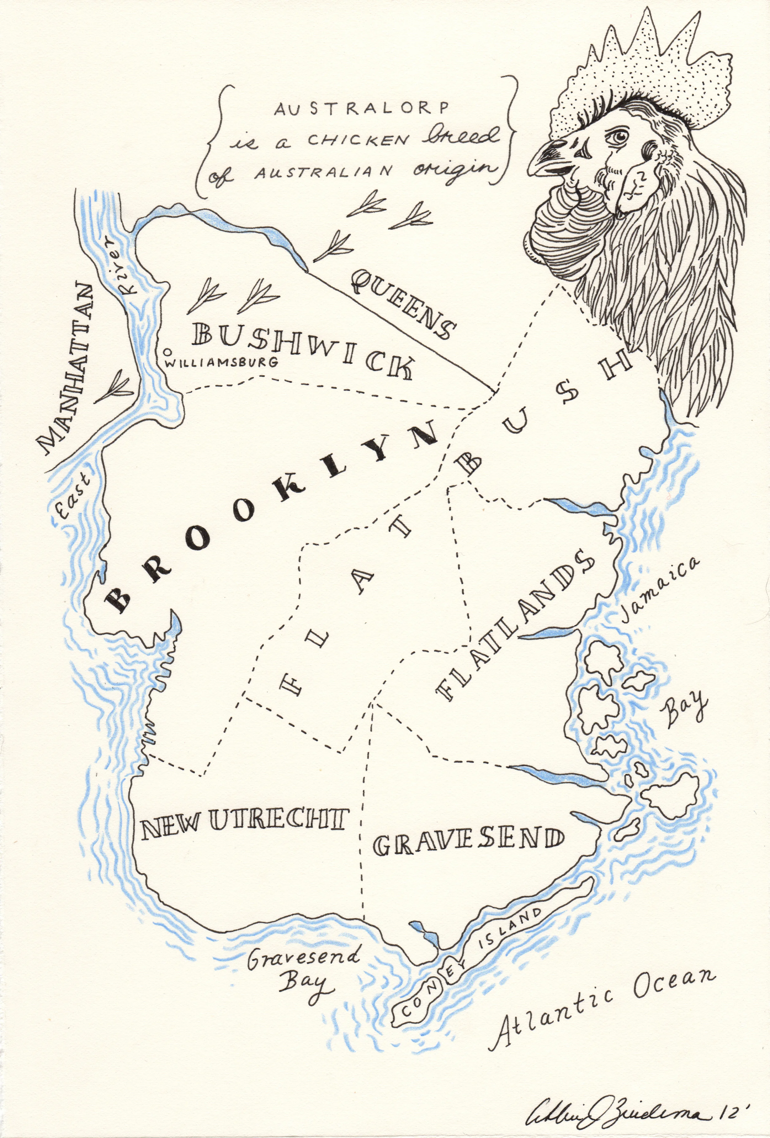 brooklyn final outline.jpg