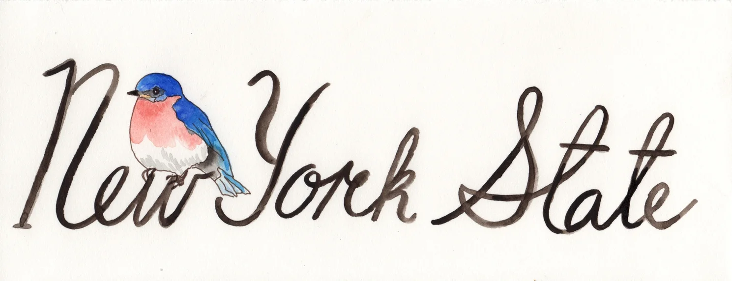 nys.jpg