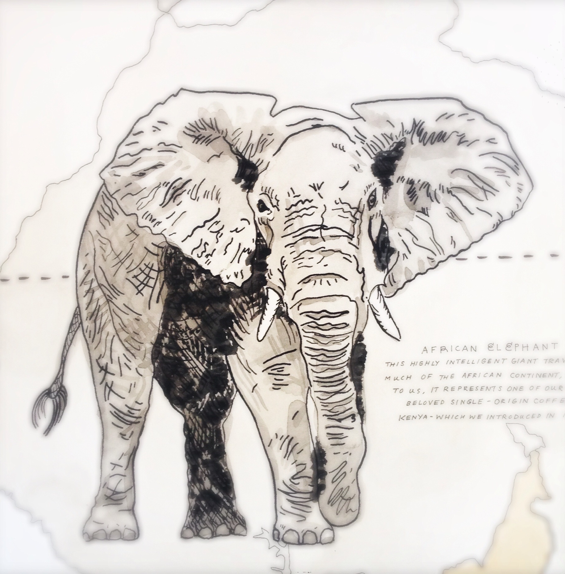 Painting the elephant was my favorite: all the wrinkles, it's tusks, the giant body, it's huge ear flaps and long trunk with whiskers at the end. Truly a celebration of one of Africa's oldest inhabitants; they can weigh up to 15,000 tons and be 13 feet in height, living up to 70 years in the wild.