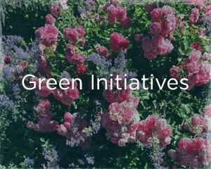 portfolio_greeninitiatives.png