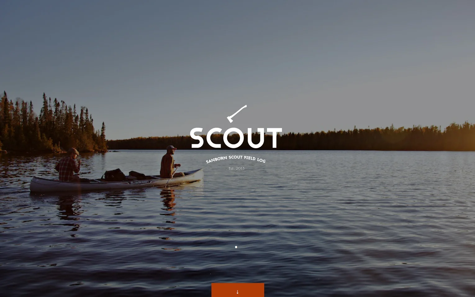 scout_2.jpg