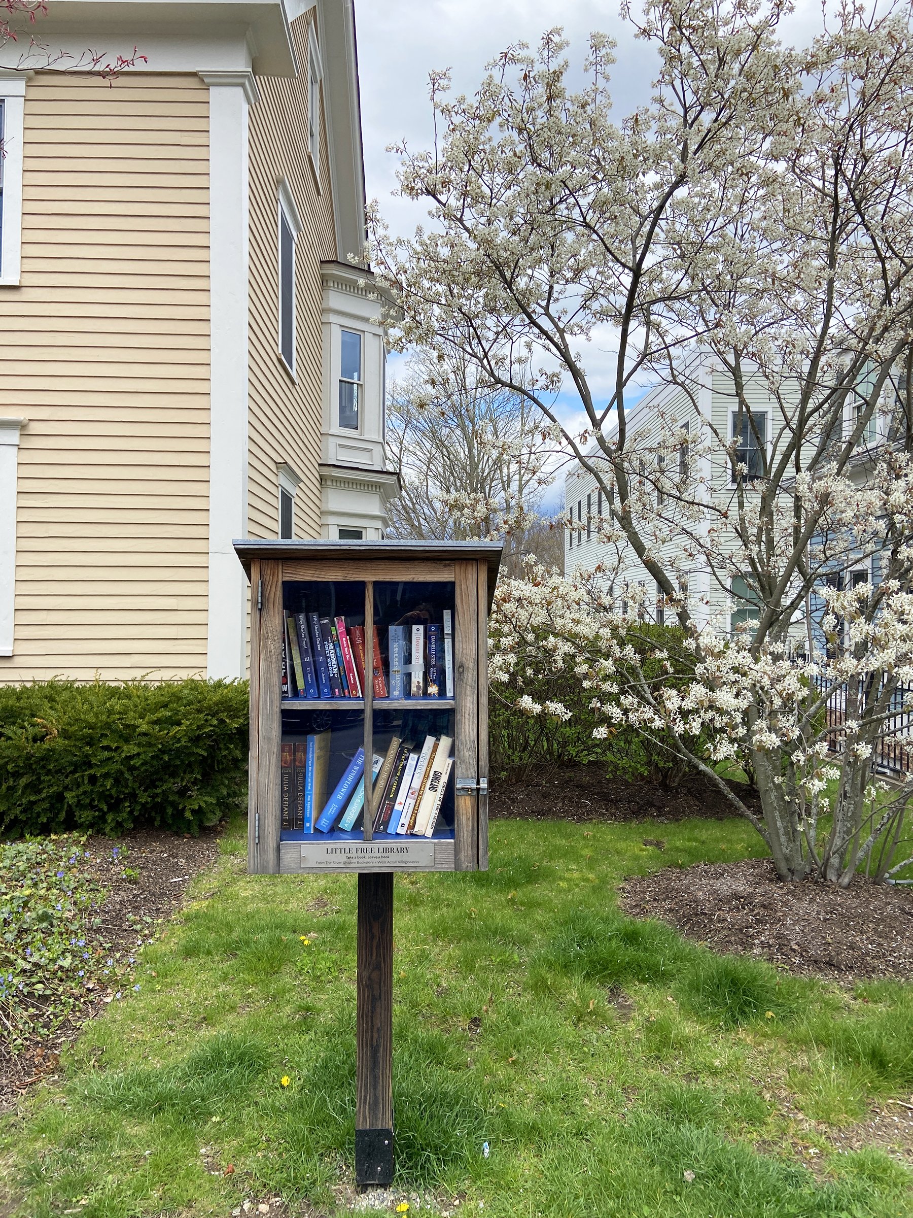 Little Library in Spring.jpg
