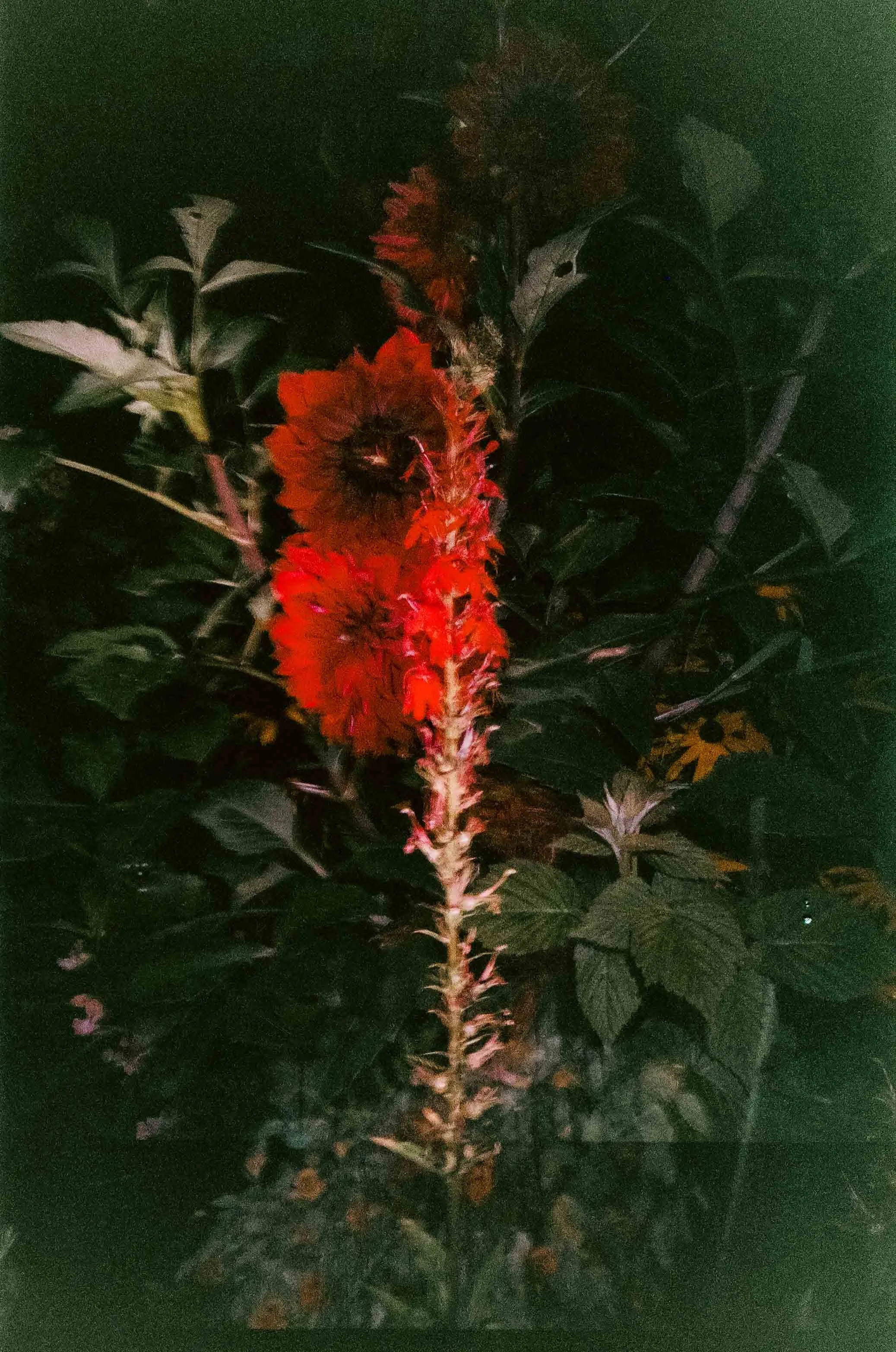 260823249033030023.jpg