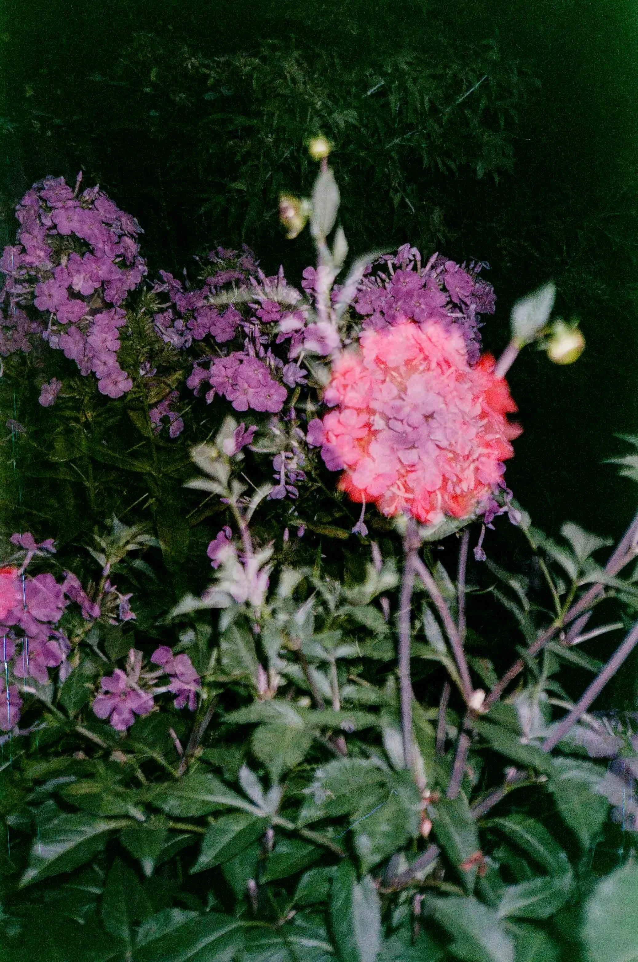 260823249033030031.jpg