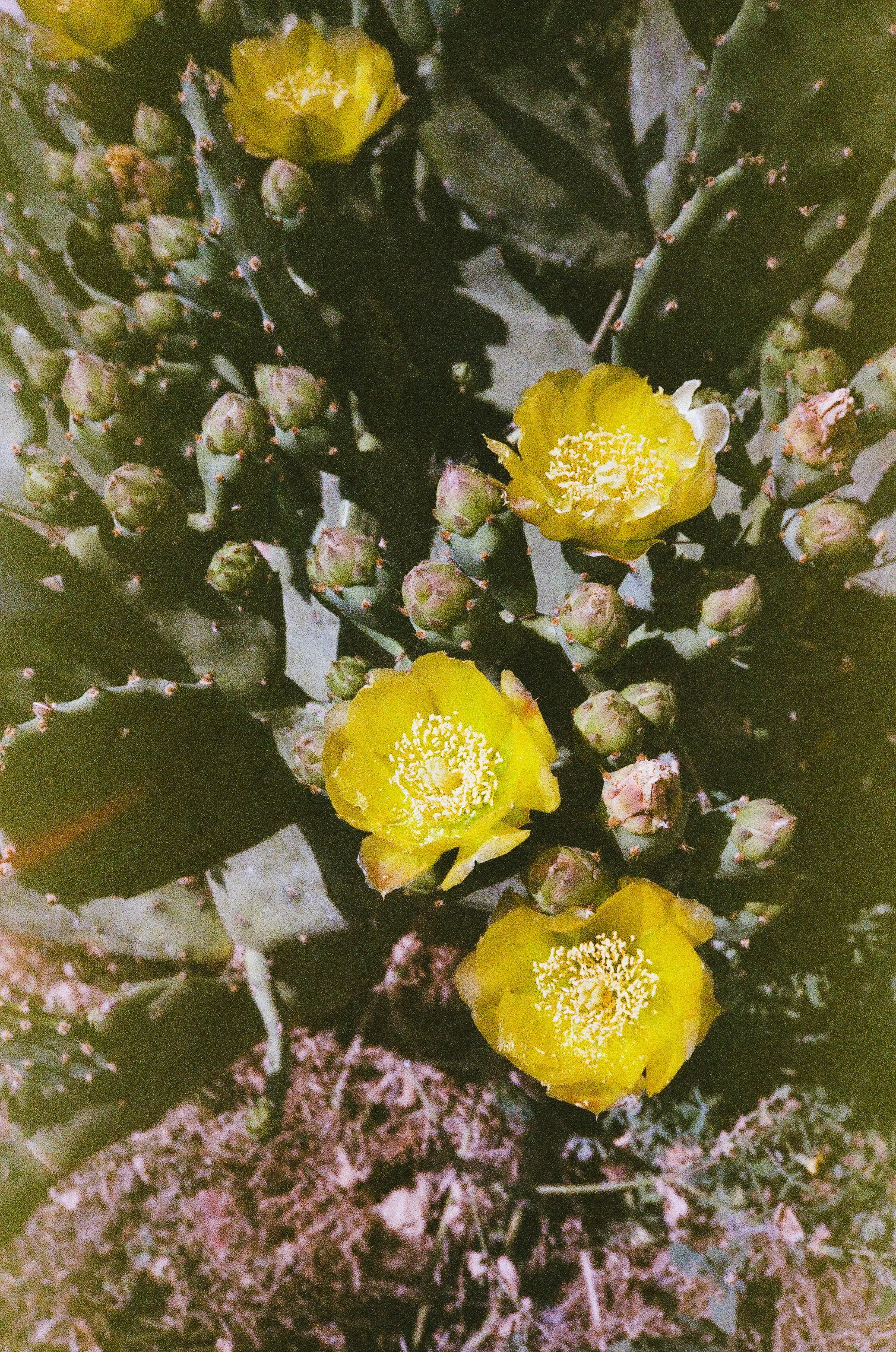 260606190164010017.jpg
