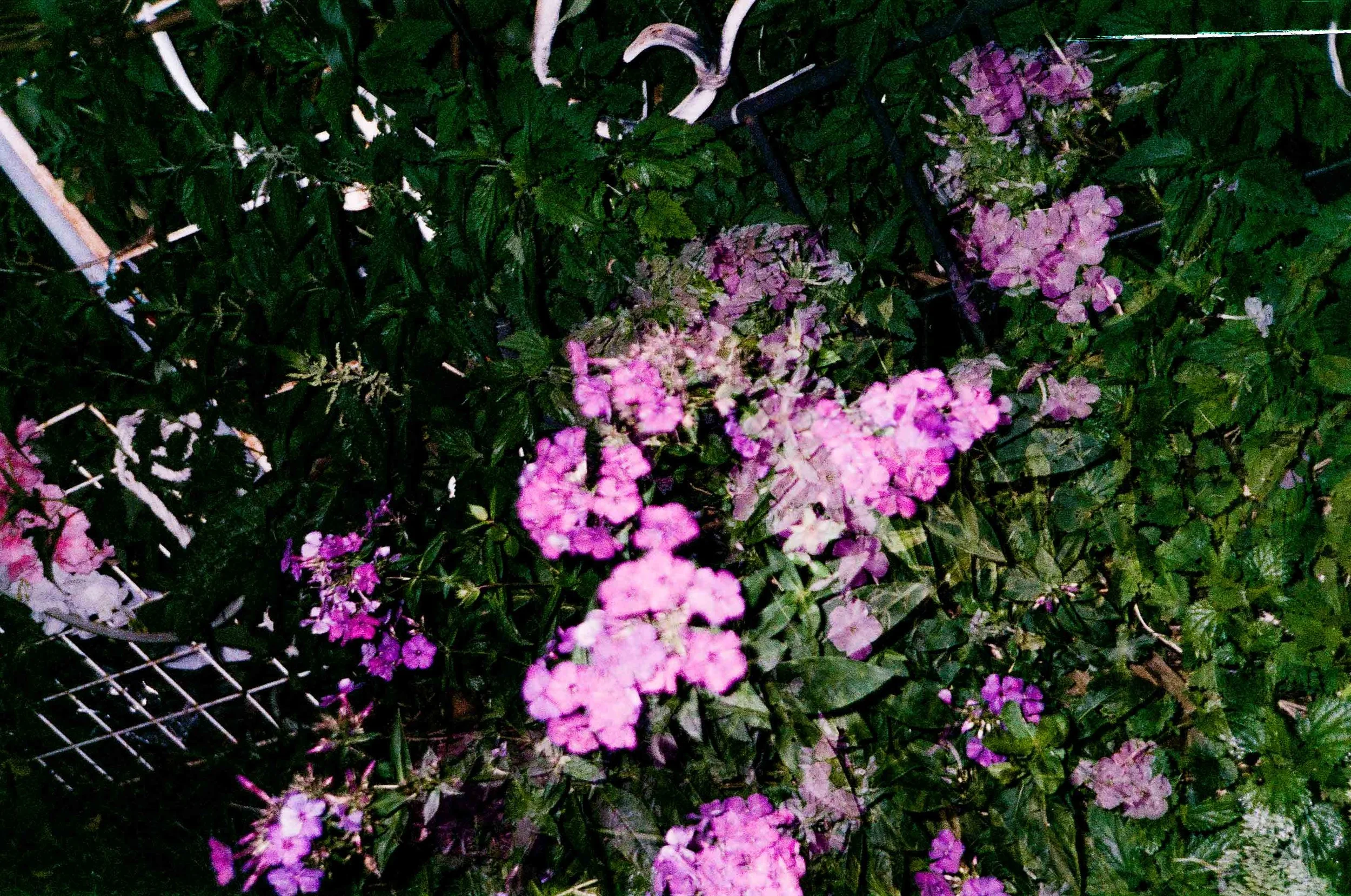 260823249033030005.jpg