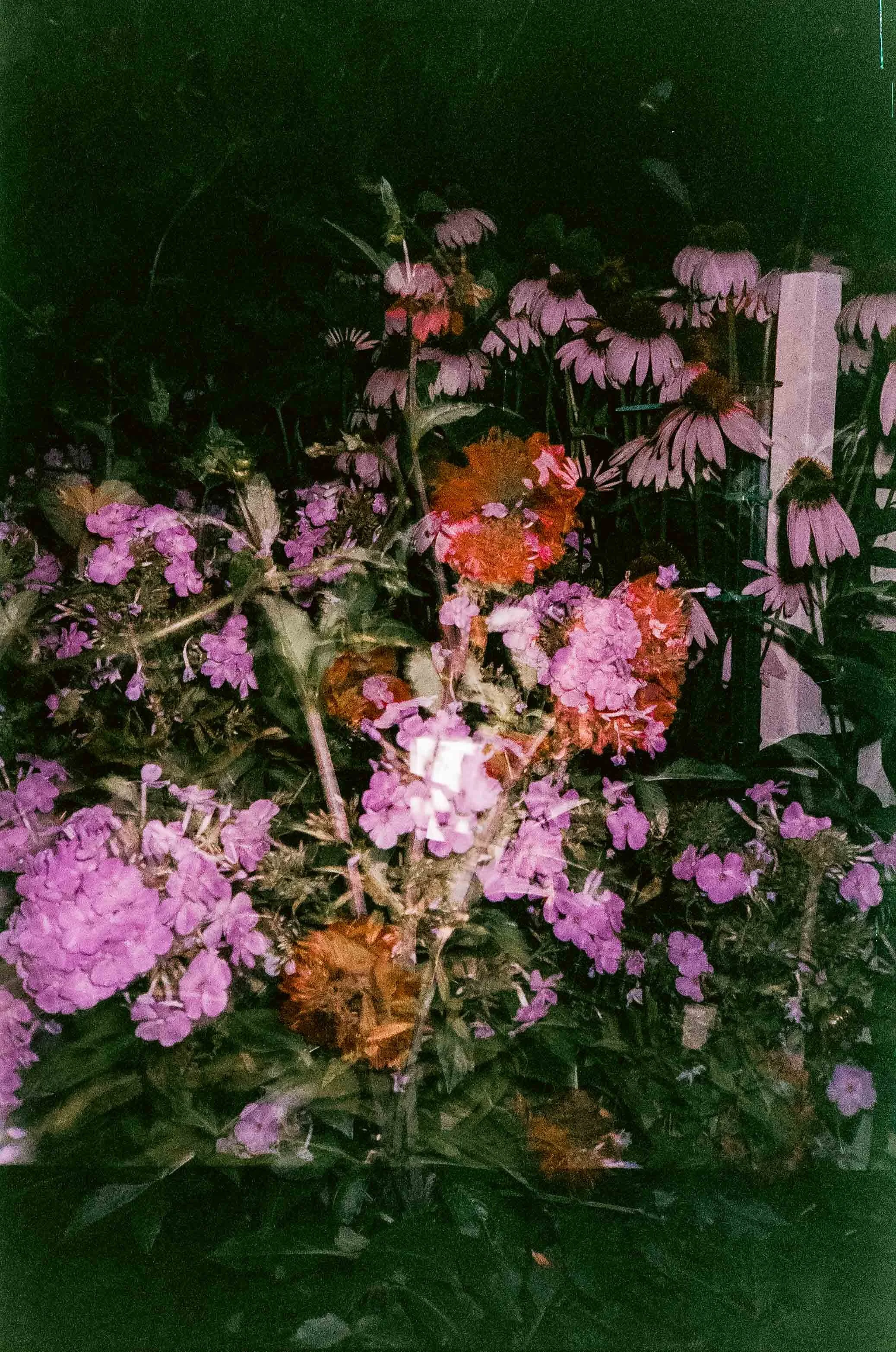 260823249033030030.jpg