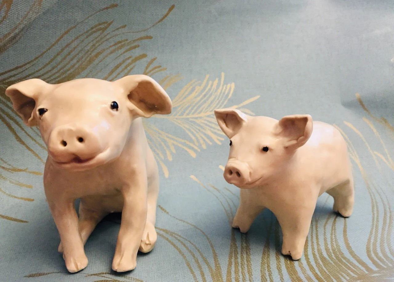 Diane's piglets.jpeg