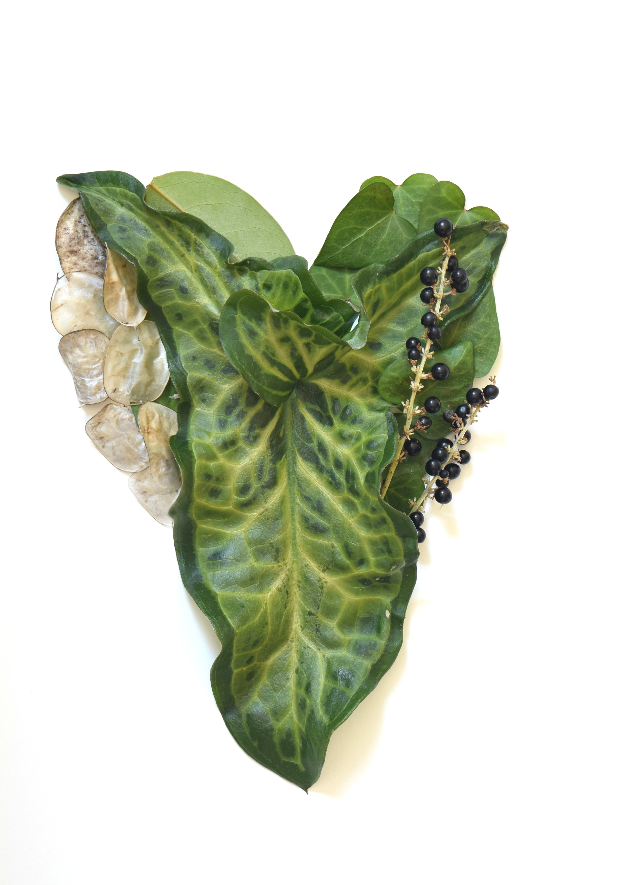 Green Botanical Heart