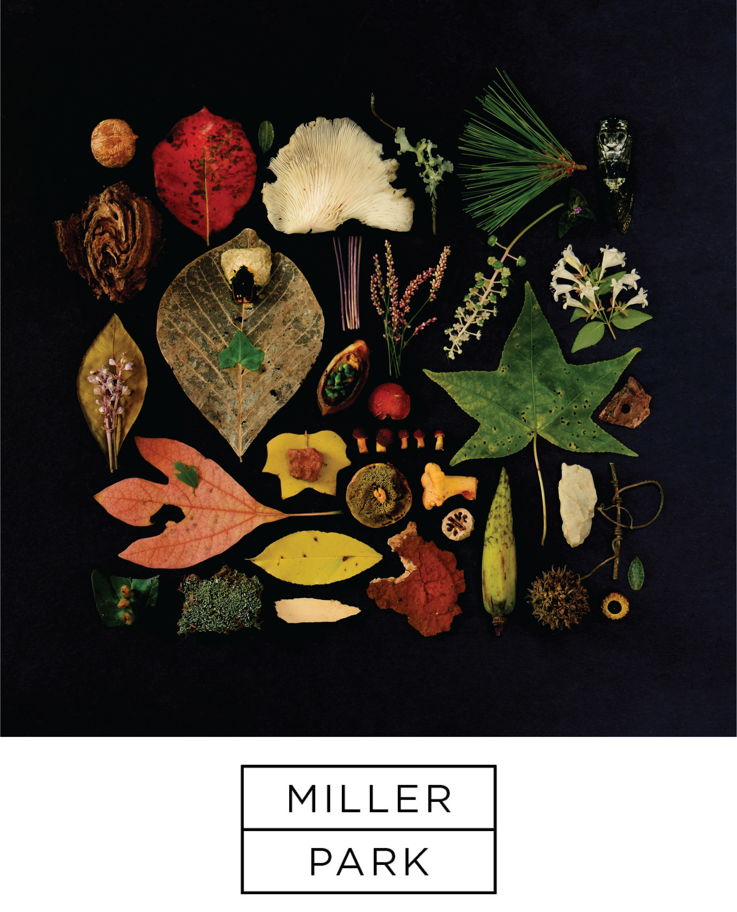 Miller Park Poster