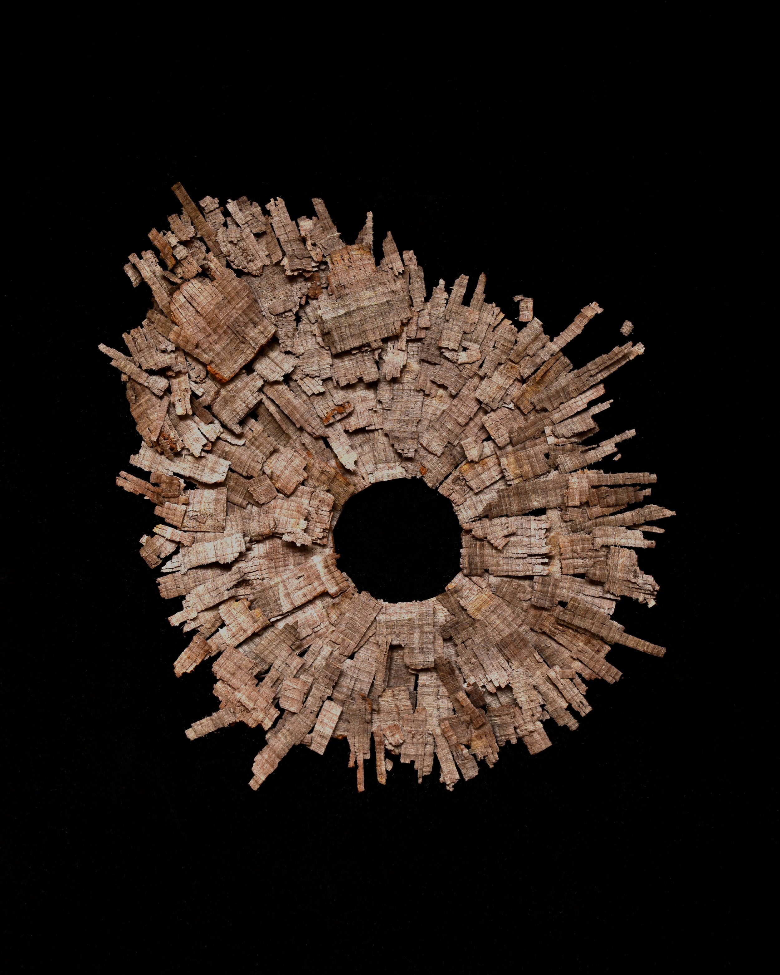 Round Bark 1.jpg