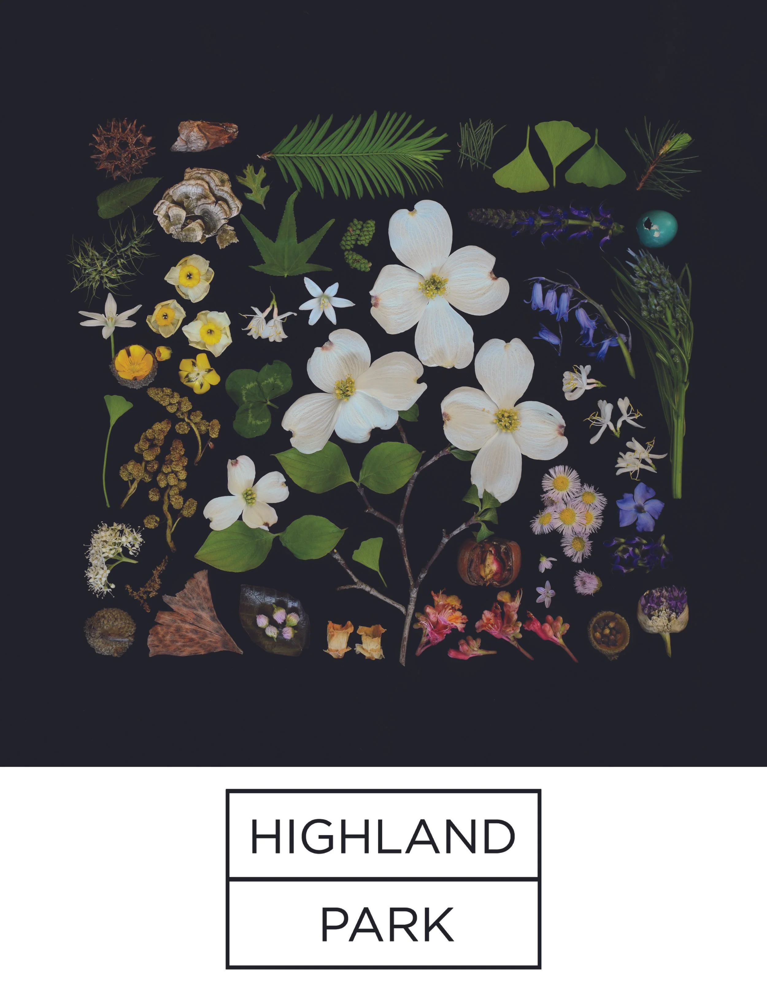 Highland Park Poster.jpg