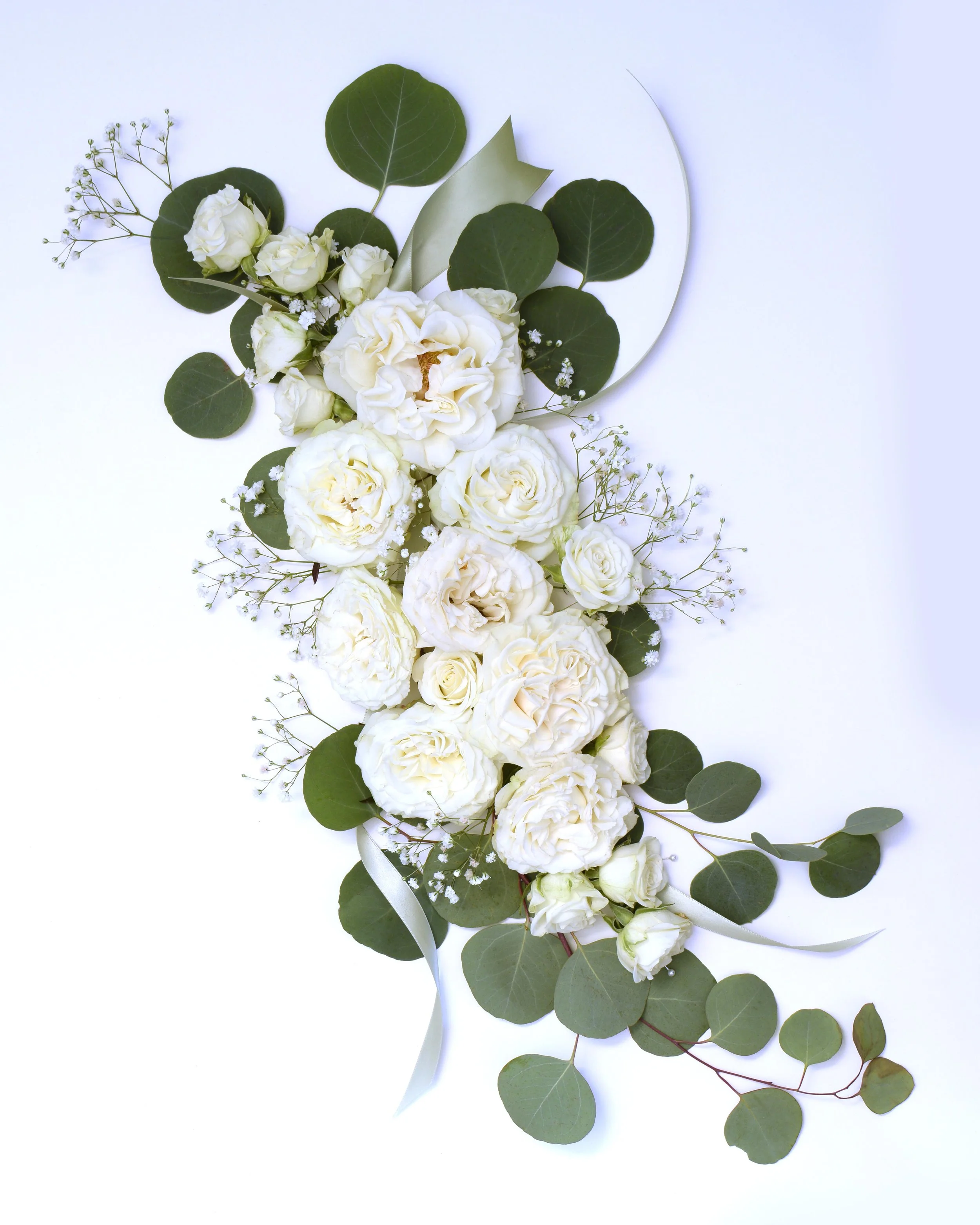 Kaitlyn and Carson 2025 Low Res.jpg