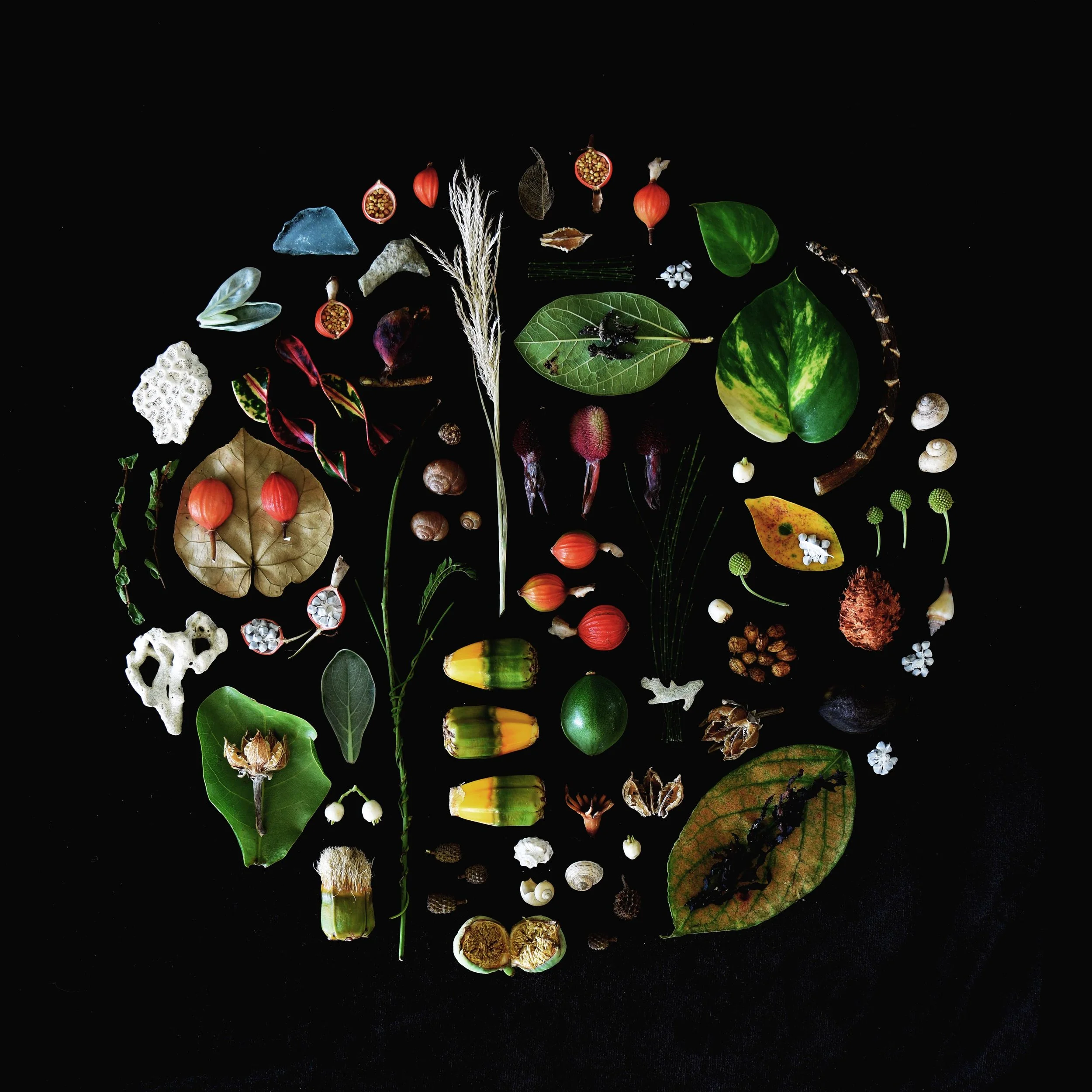 Okinawa1 Low Res.jpg