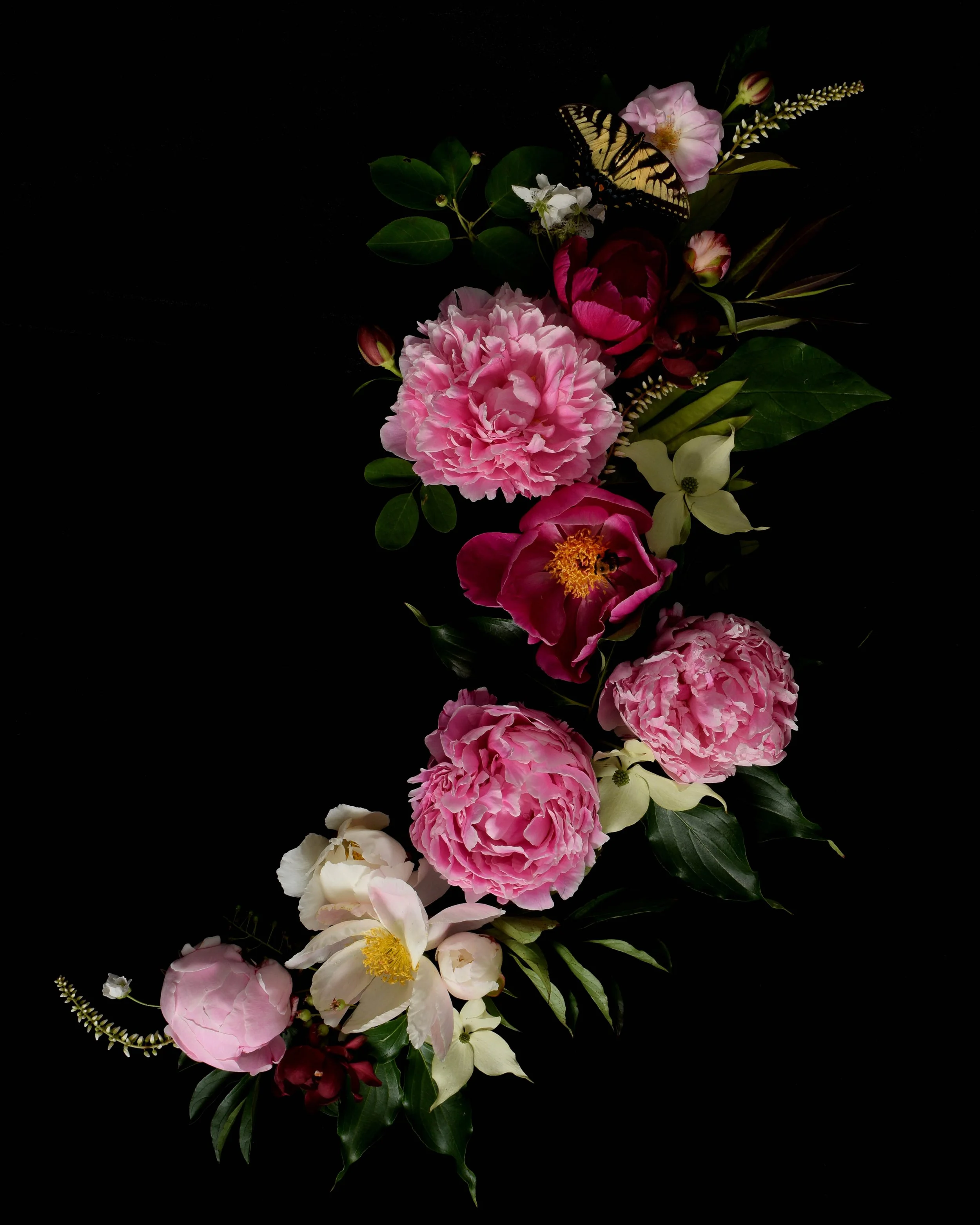 Peonies Commission Low Res.jpg