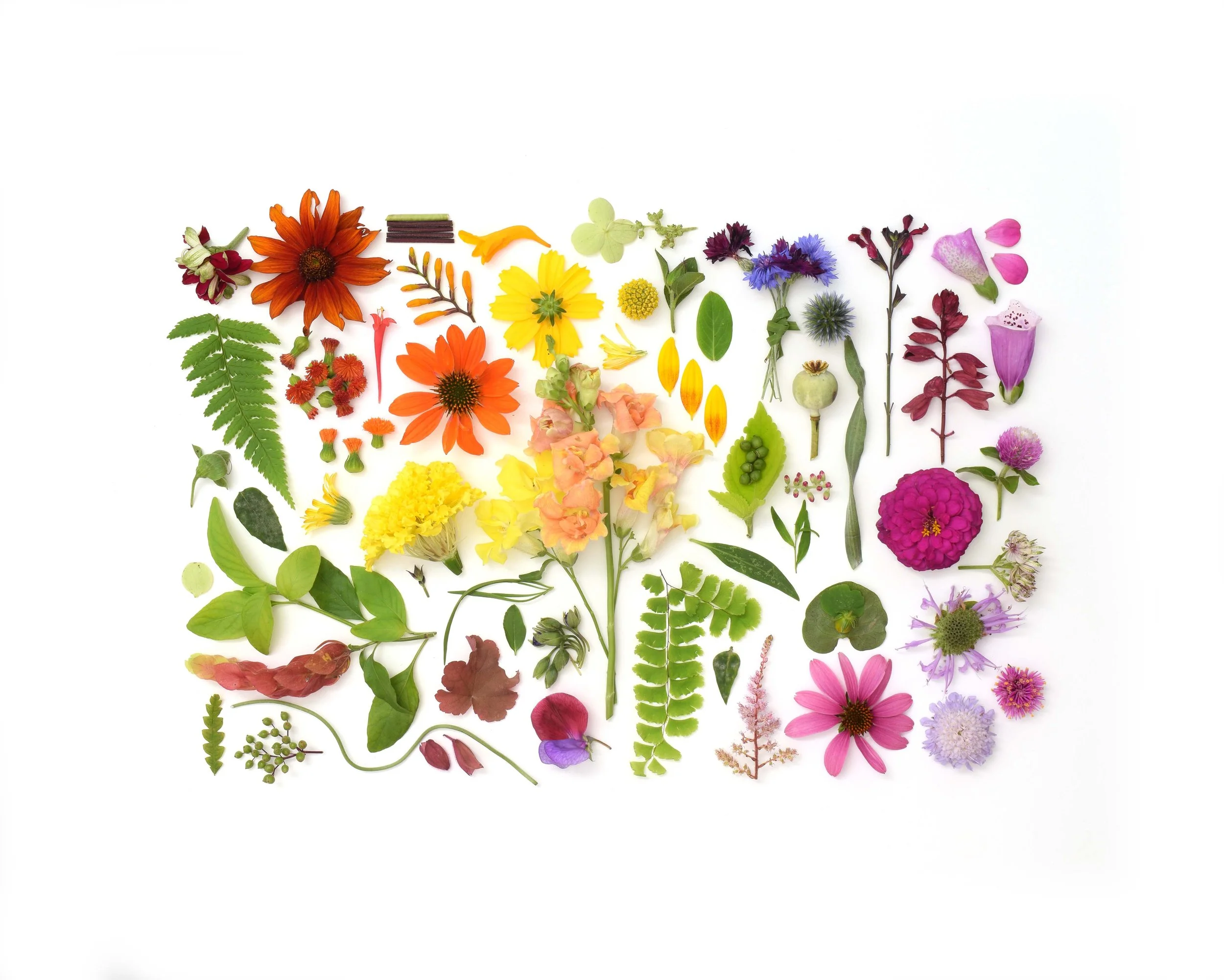 Ben and Noah 2025 Low Res.jpg