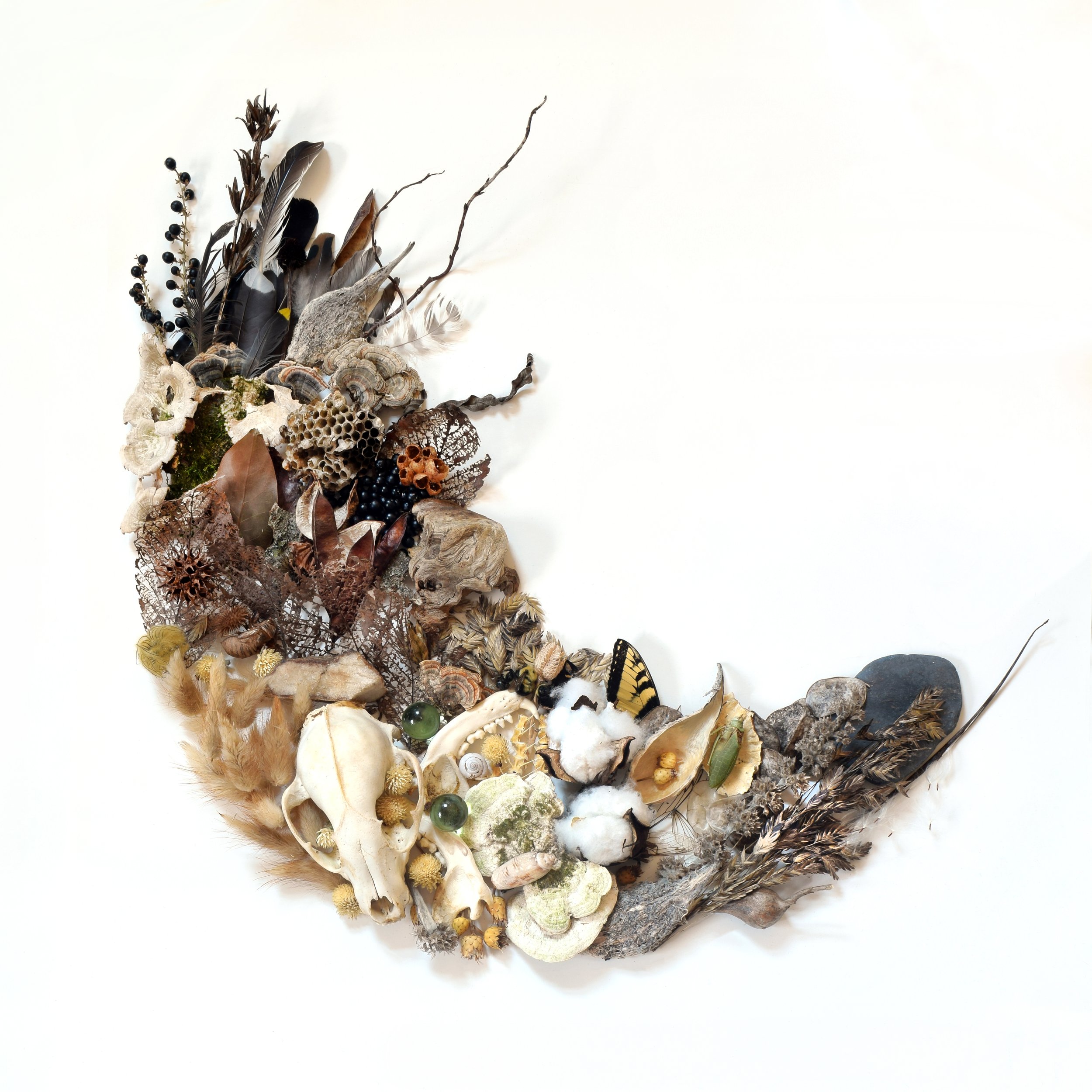 Cinema Beyond the Screen 2.jpg