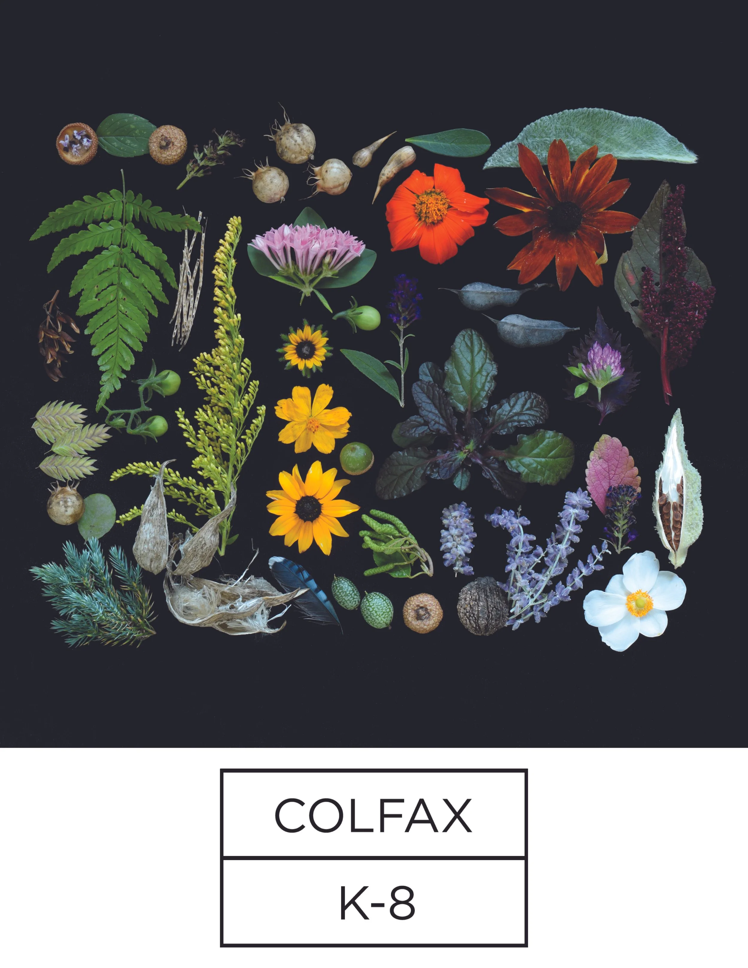 Colfax Portrait.jpg