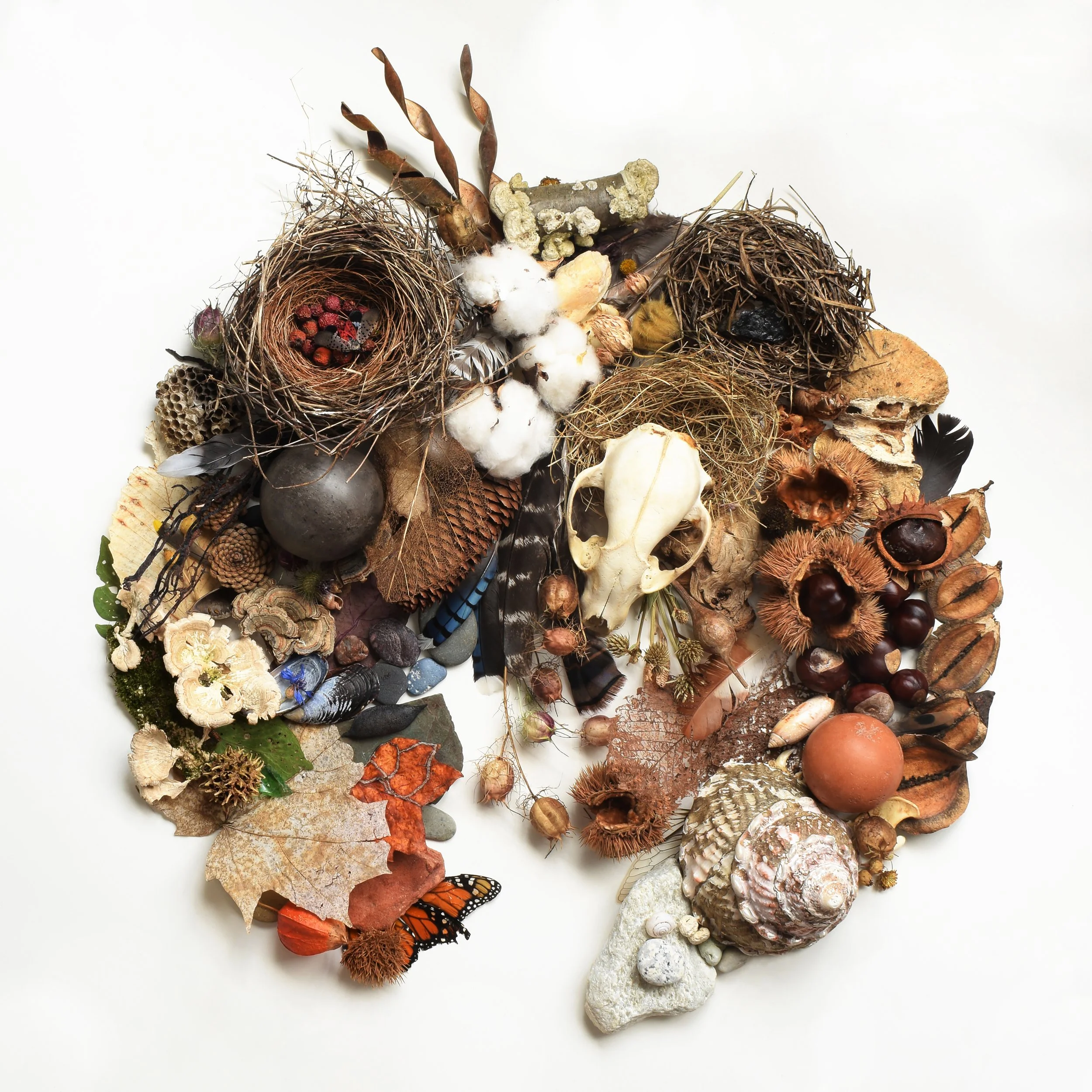 Fox Skull Circle 2.jpg