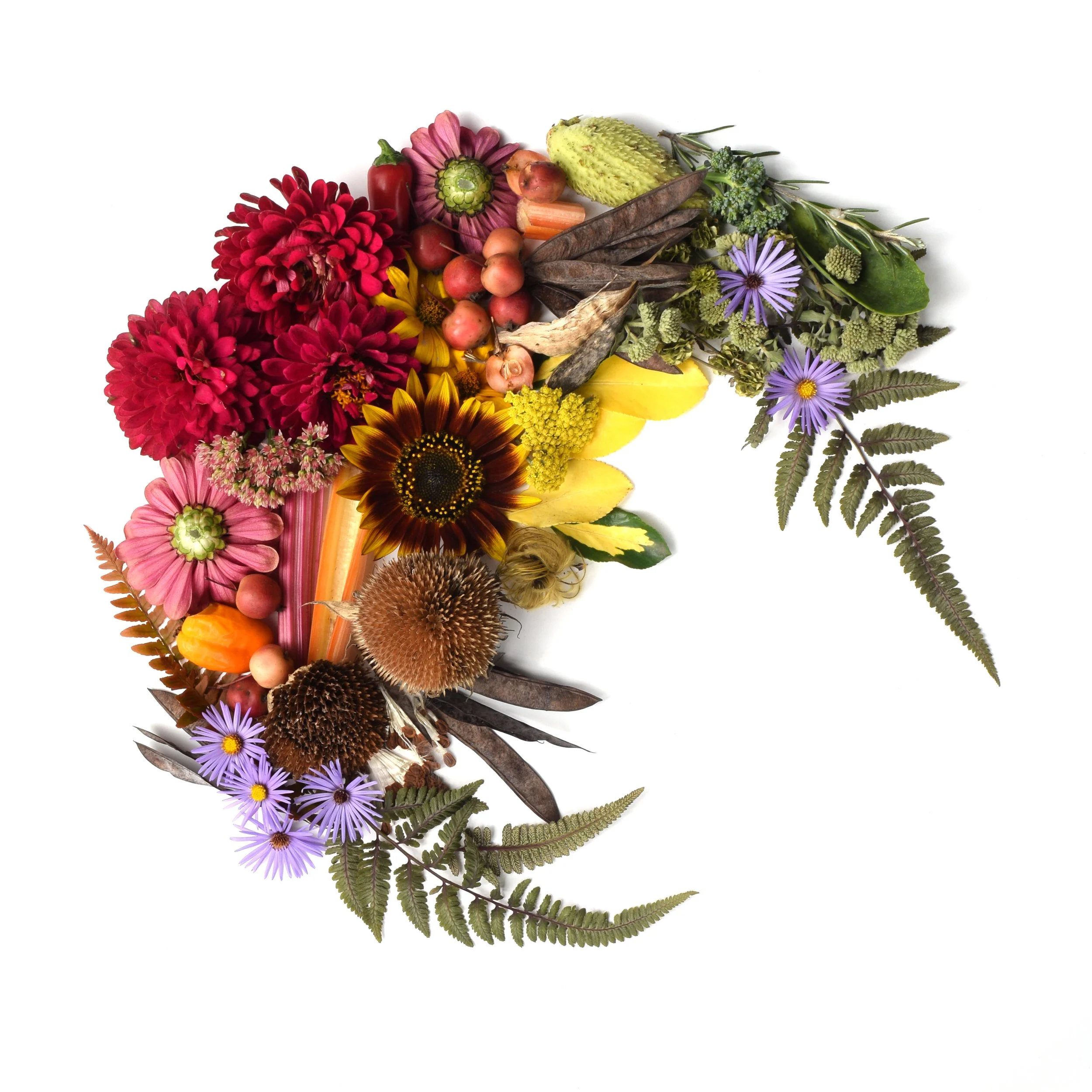 Princess Street Garden Square.jpg