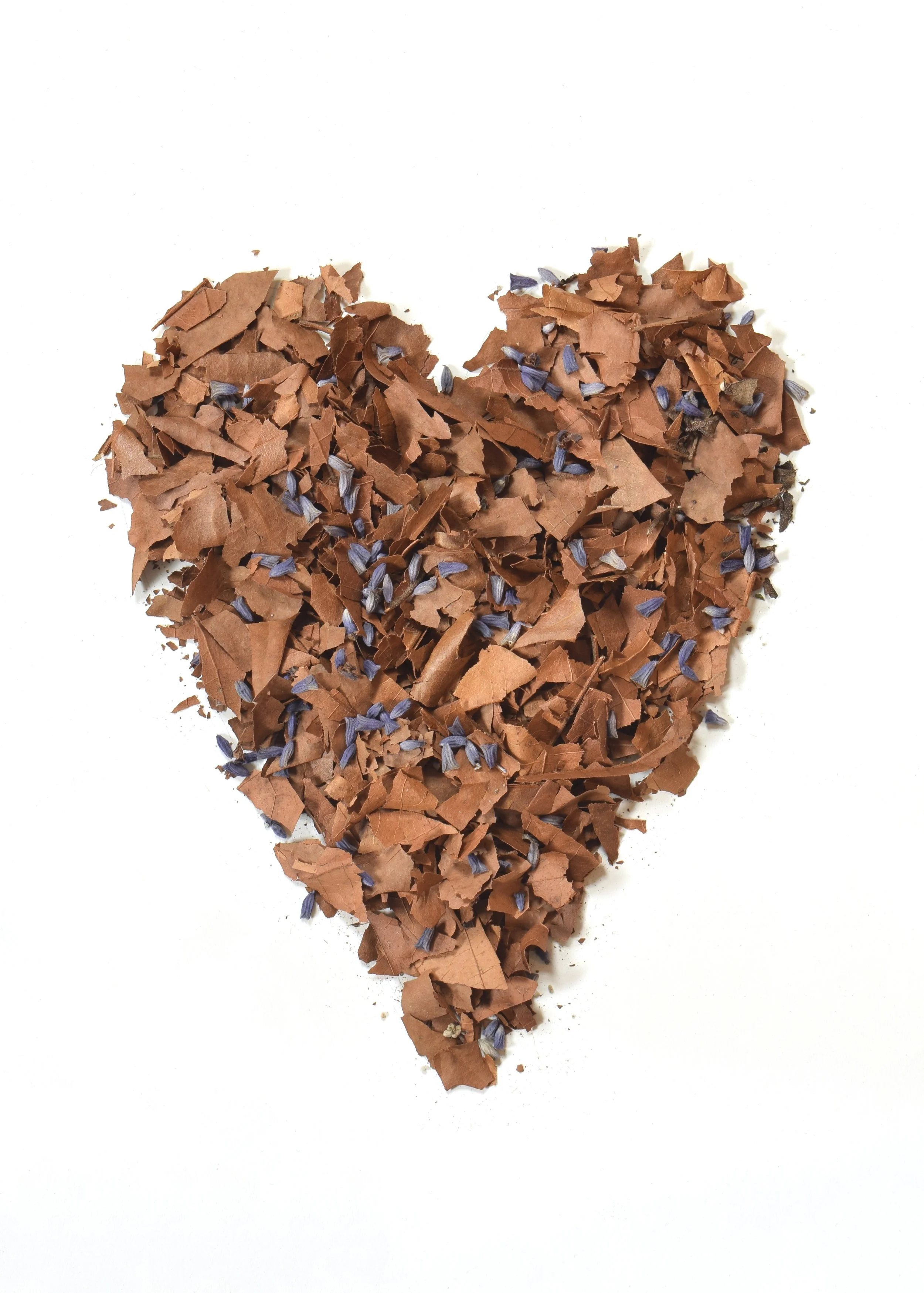 Brown Heart.jpg
