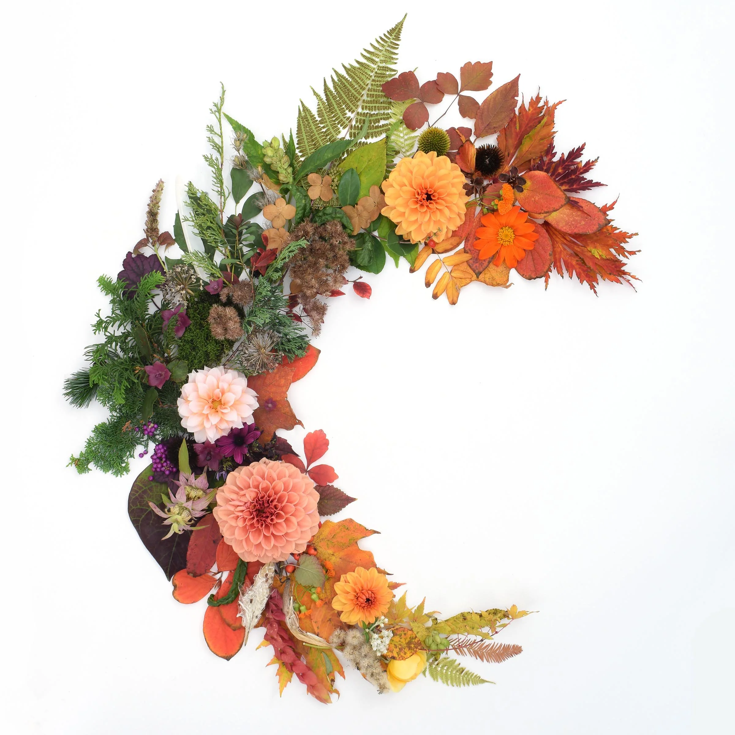 LauraAshleyAutumn2 Low Res.jpg