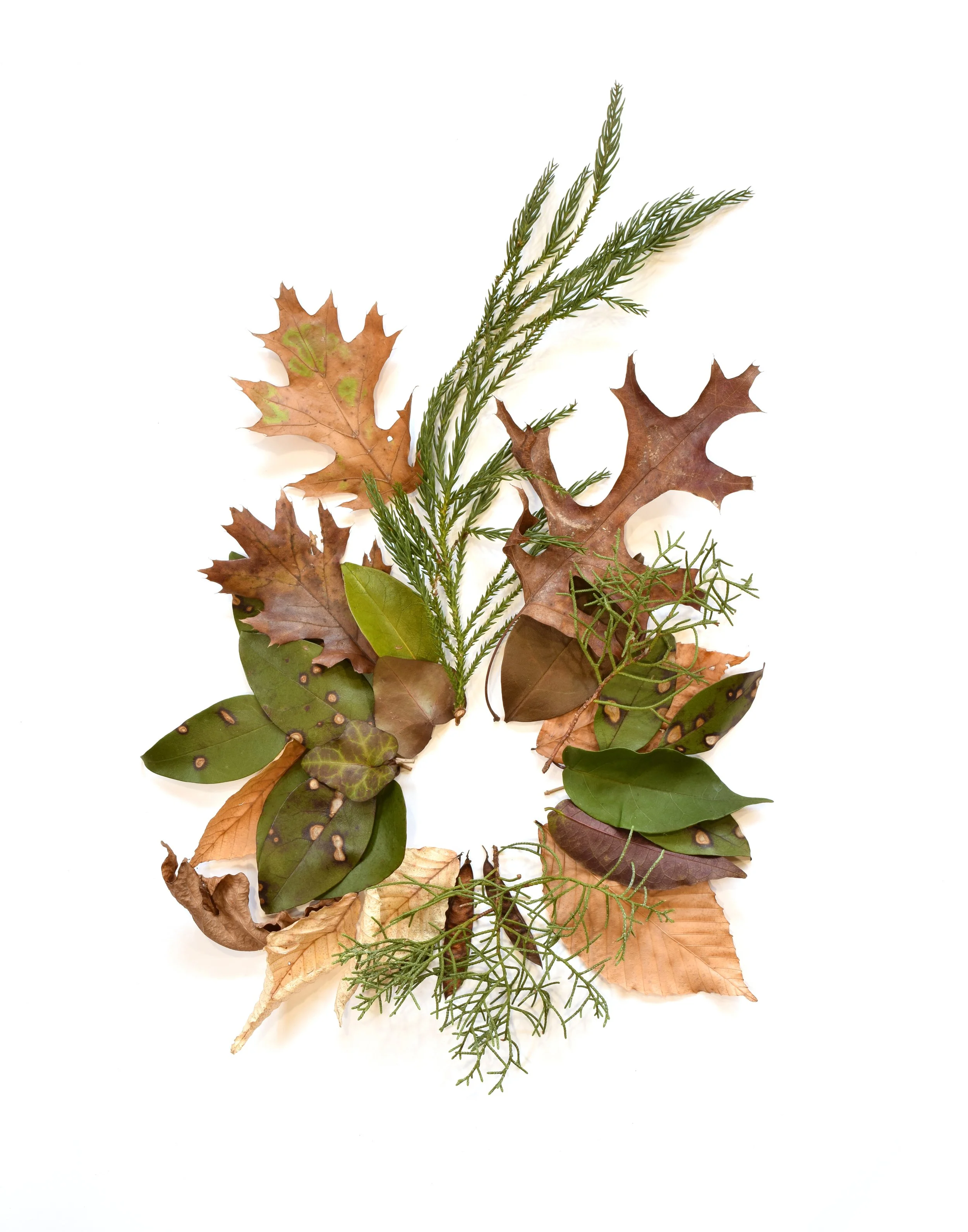 WinterTrinity 11x14.jpg