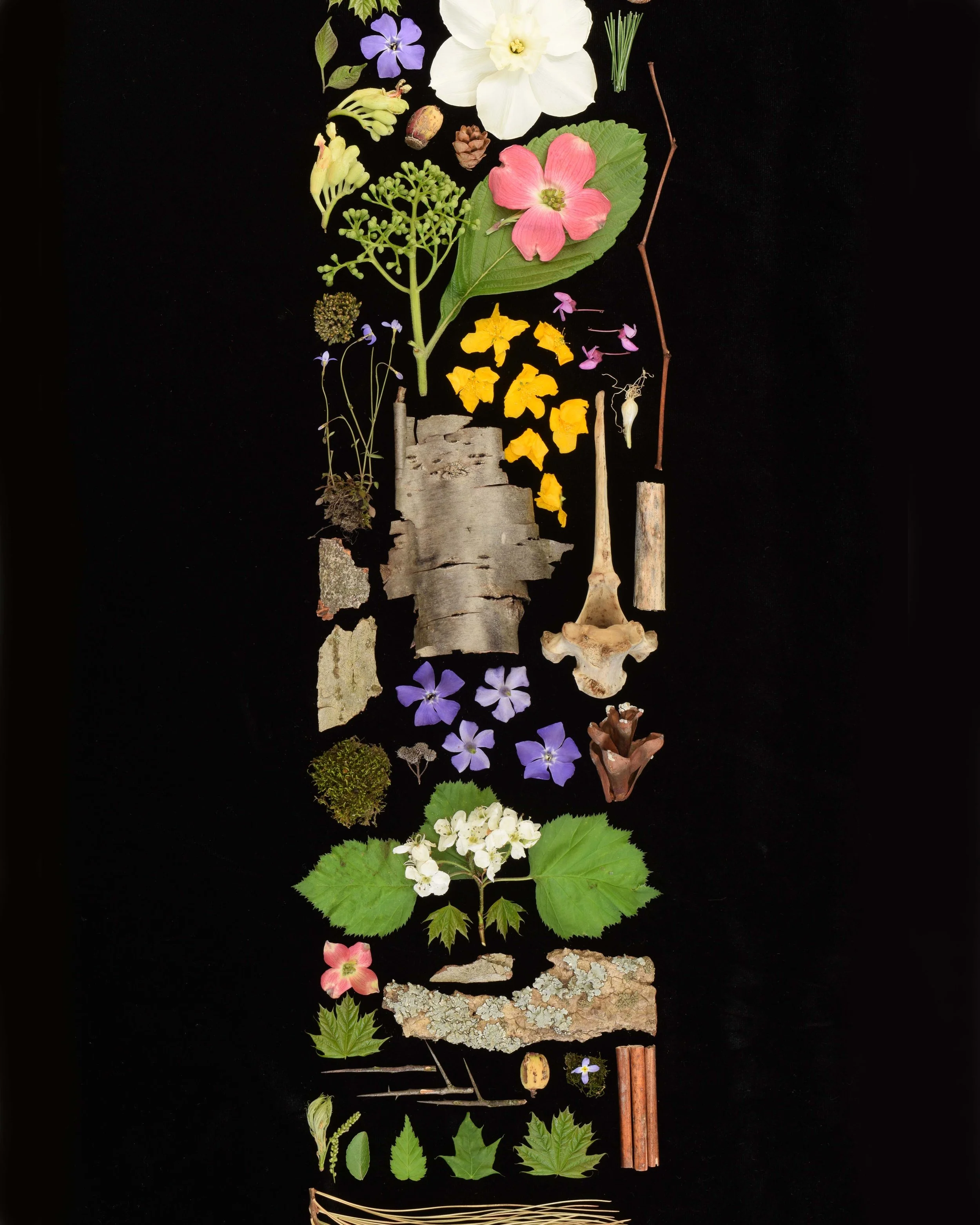 Bethany Wells Low Res.jpg