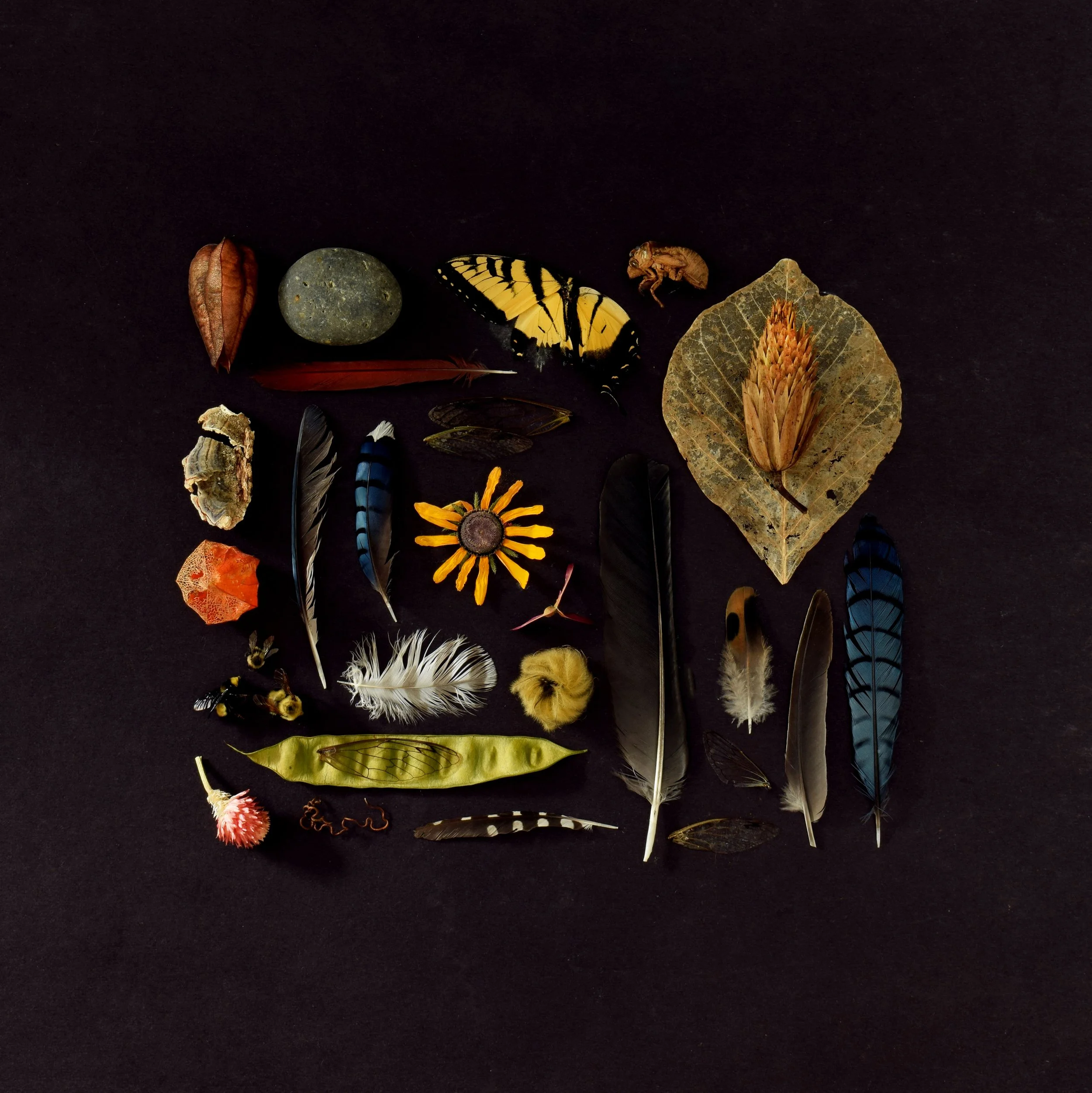 Summer's End 2021.jpg