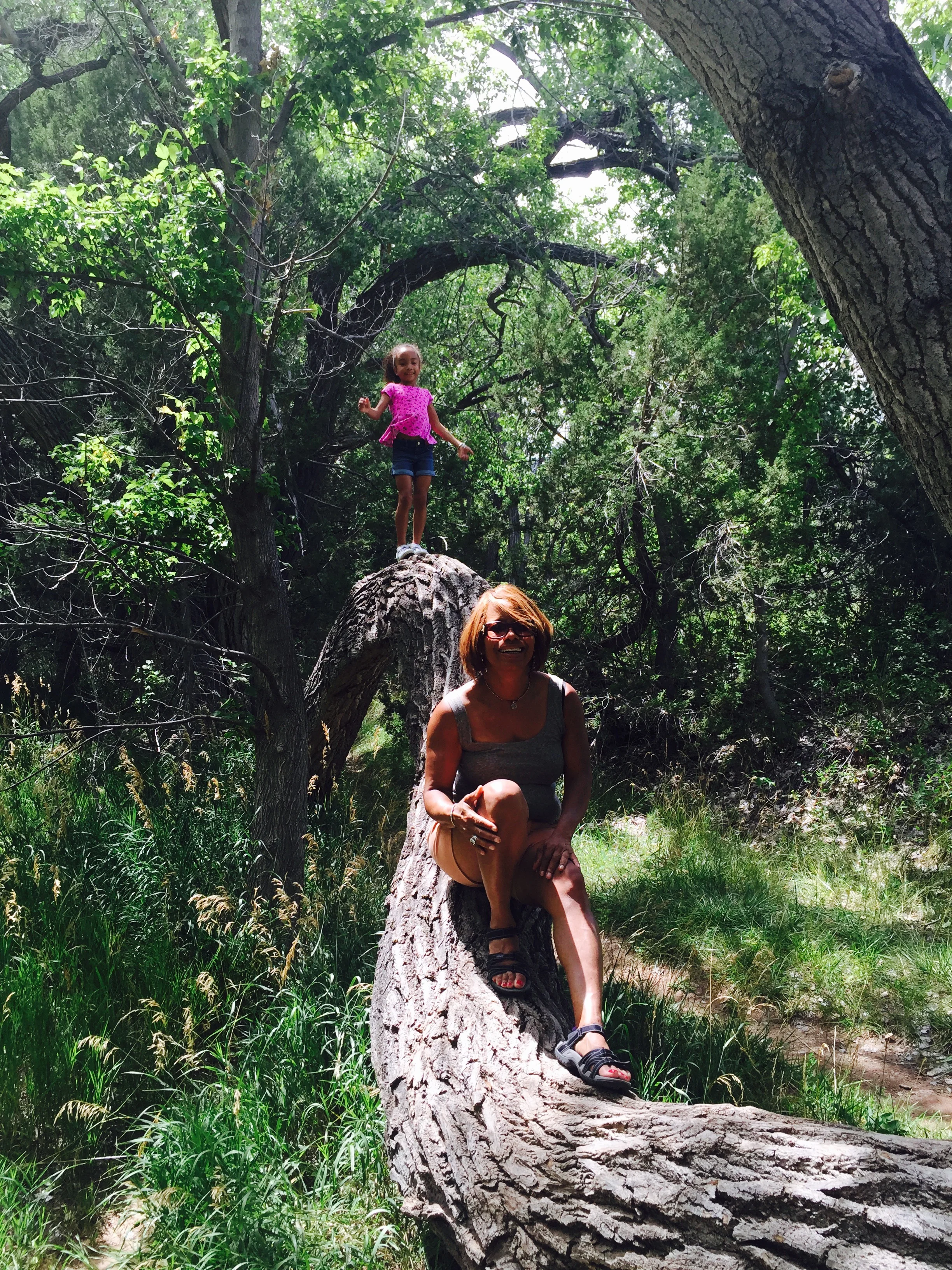 treefun