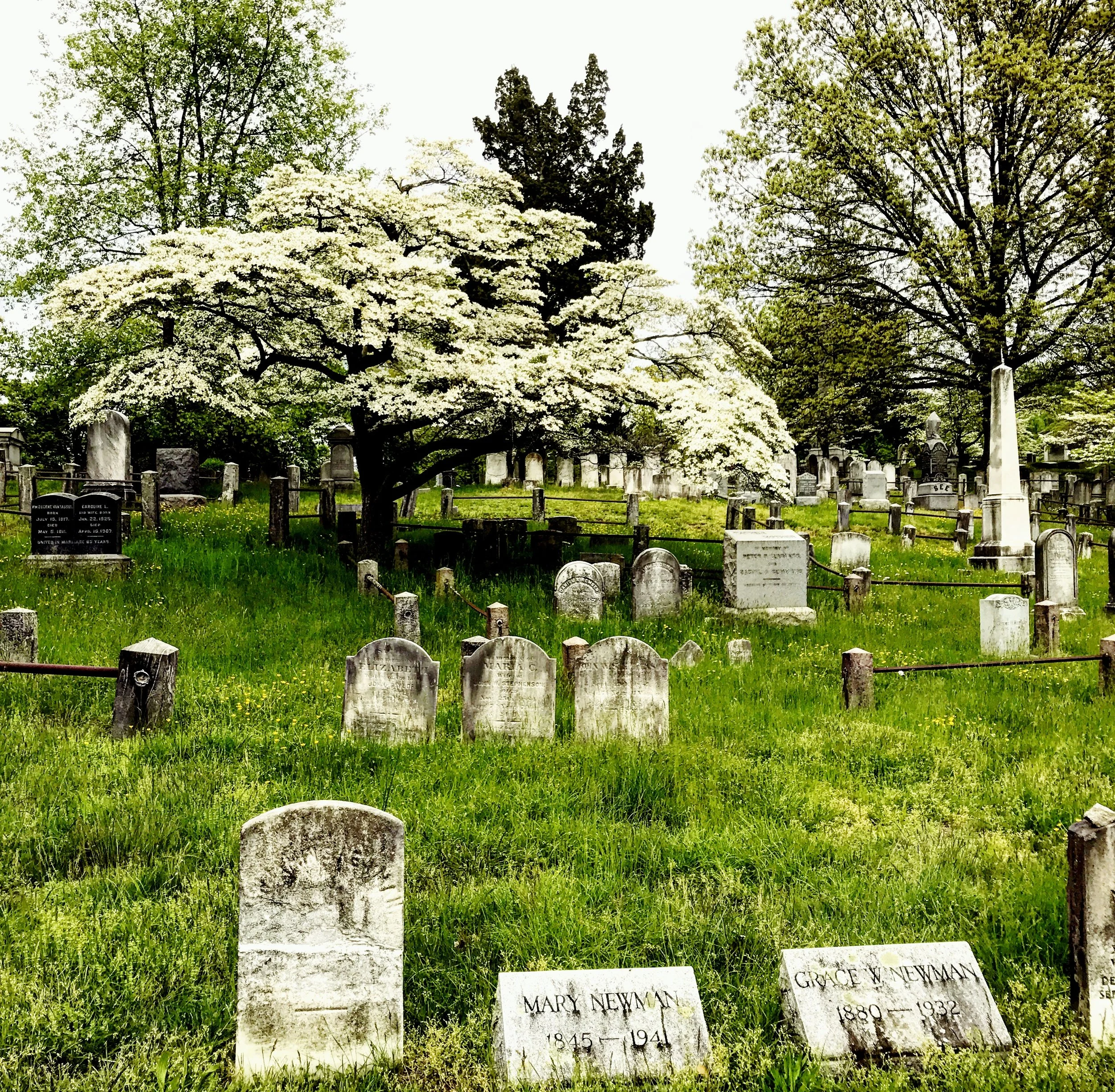 Sleepy Hollow Cemetery