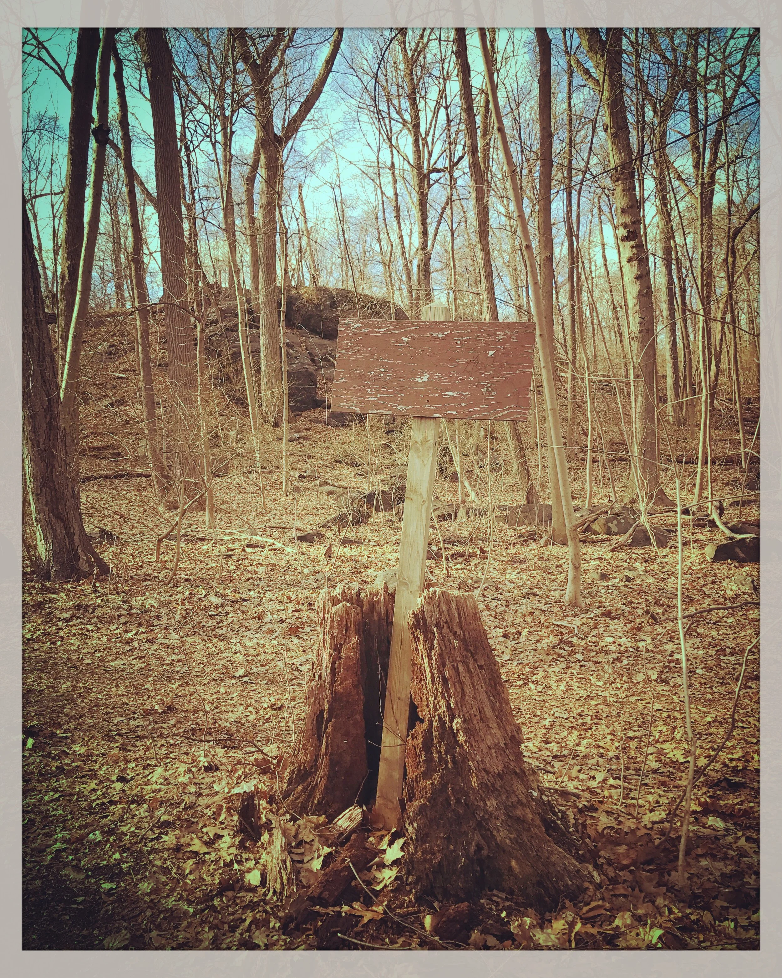 The Presence of Slowing