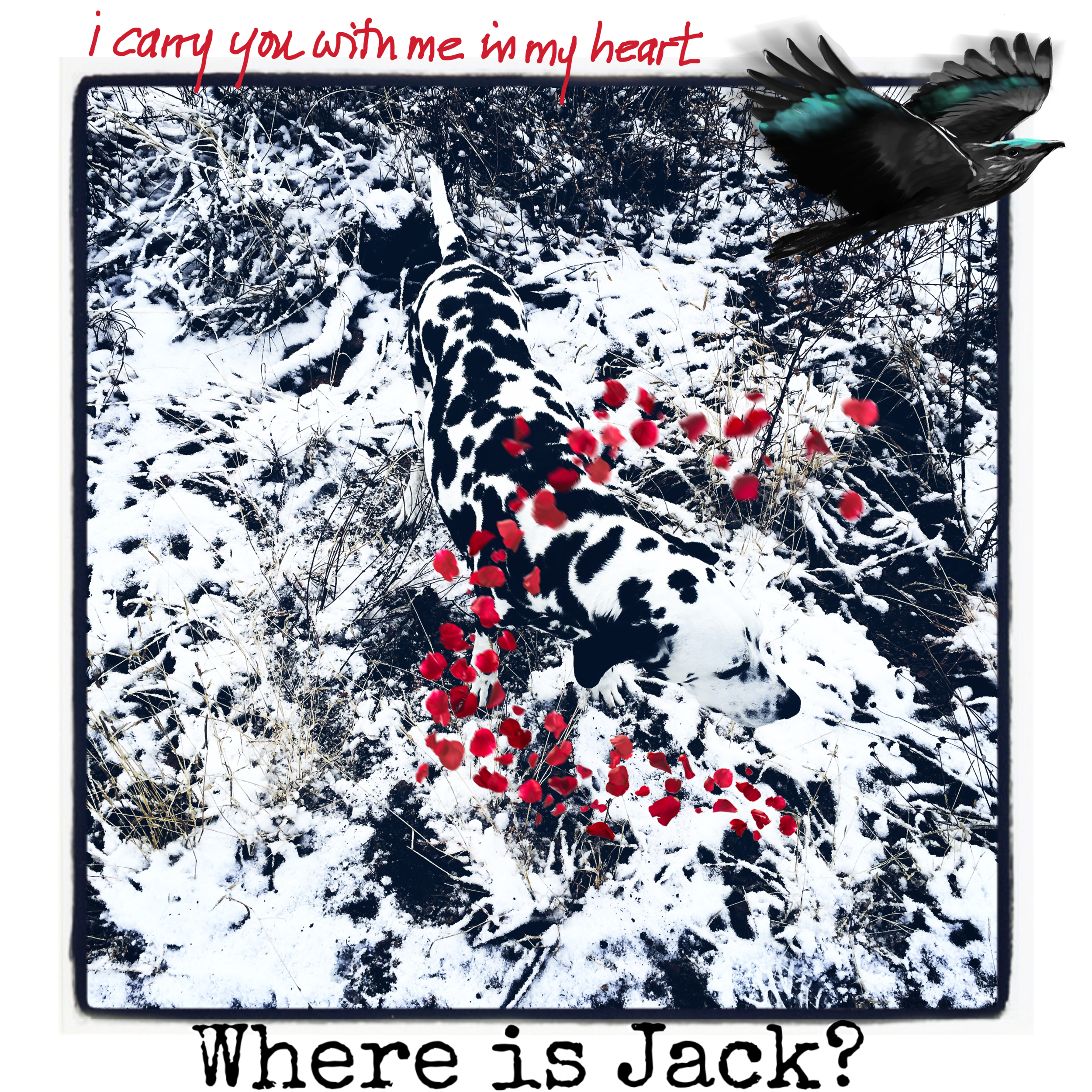 The Message from My Dream