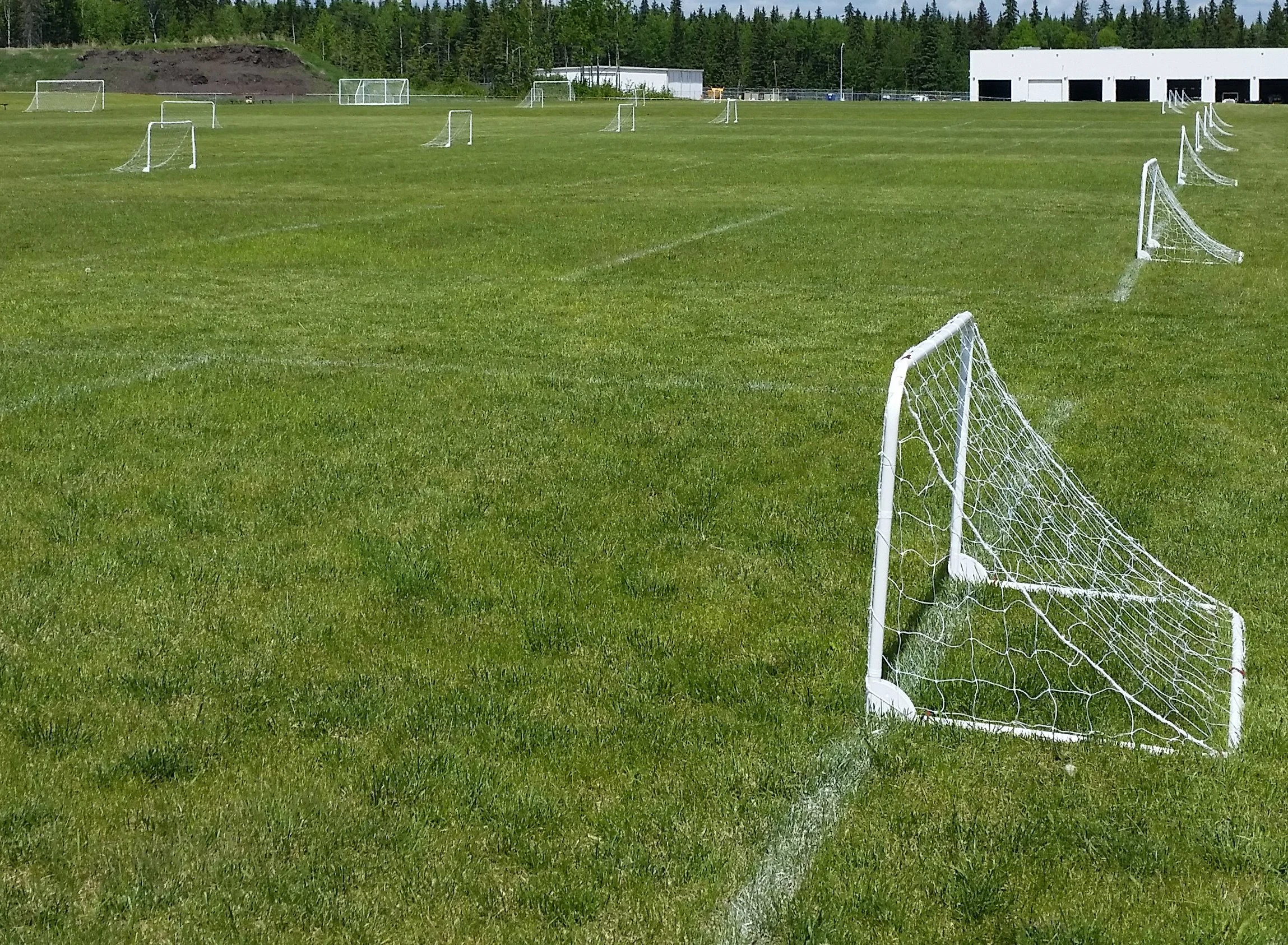 Fields.jpg