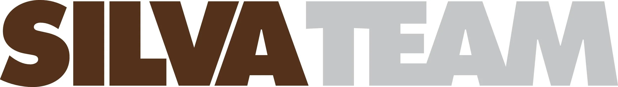 Silvateam_logo.pdf.jpg